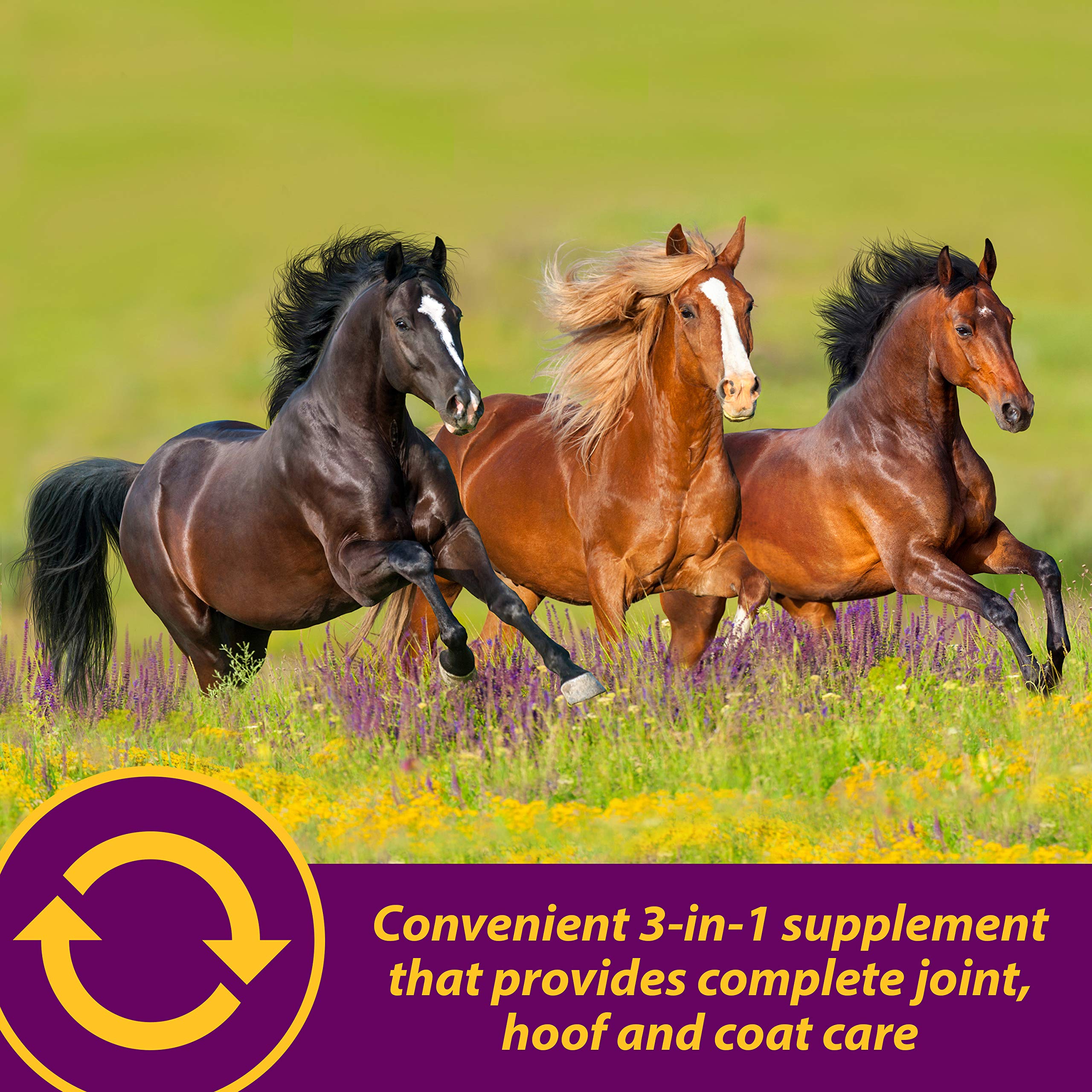 Horse Health Joint Combo Hoof & Coat, Convenient 3-in-1 Horse Joint Supplement Provides Complete Joint, Hoof and Coat Care, 3.75