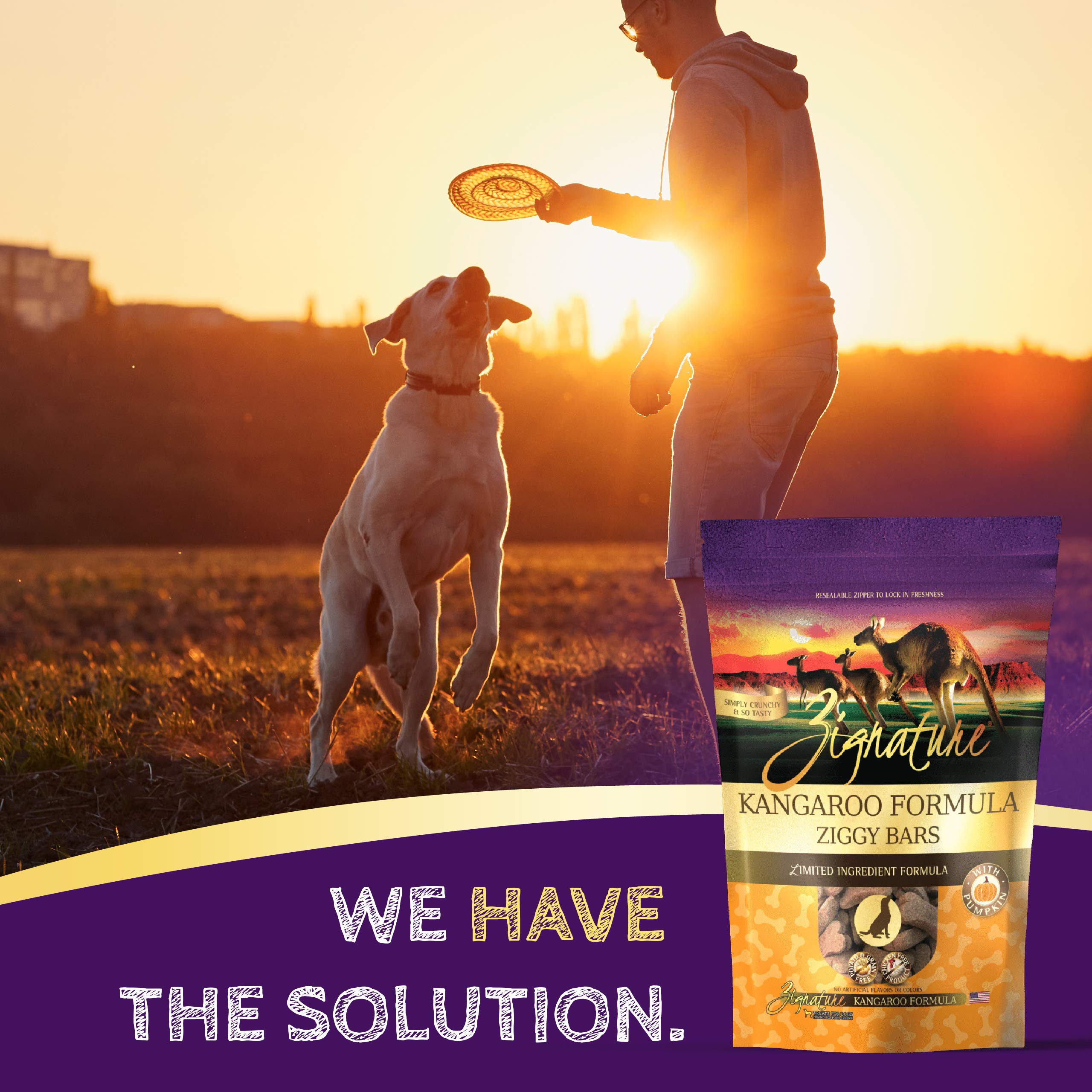 Zignature Kangaroo Limited Ingredient Formula Biscuit Dog Treats 12oz