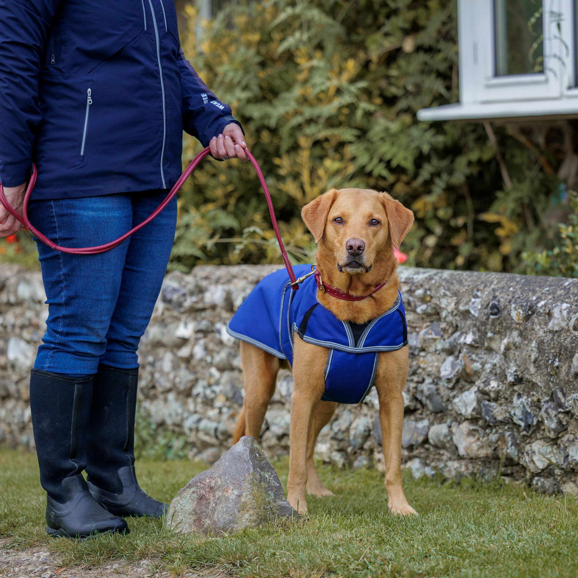 Weatherbeeta Comfitec Premier Free Parka Deluxe Dog Coat Medium, Dark Blue/Grey/White, 32'