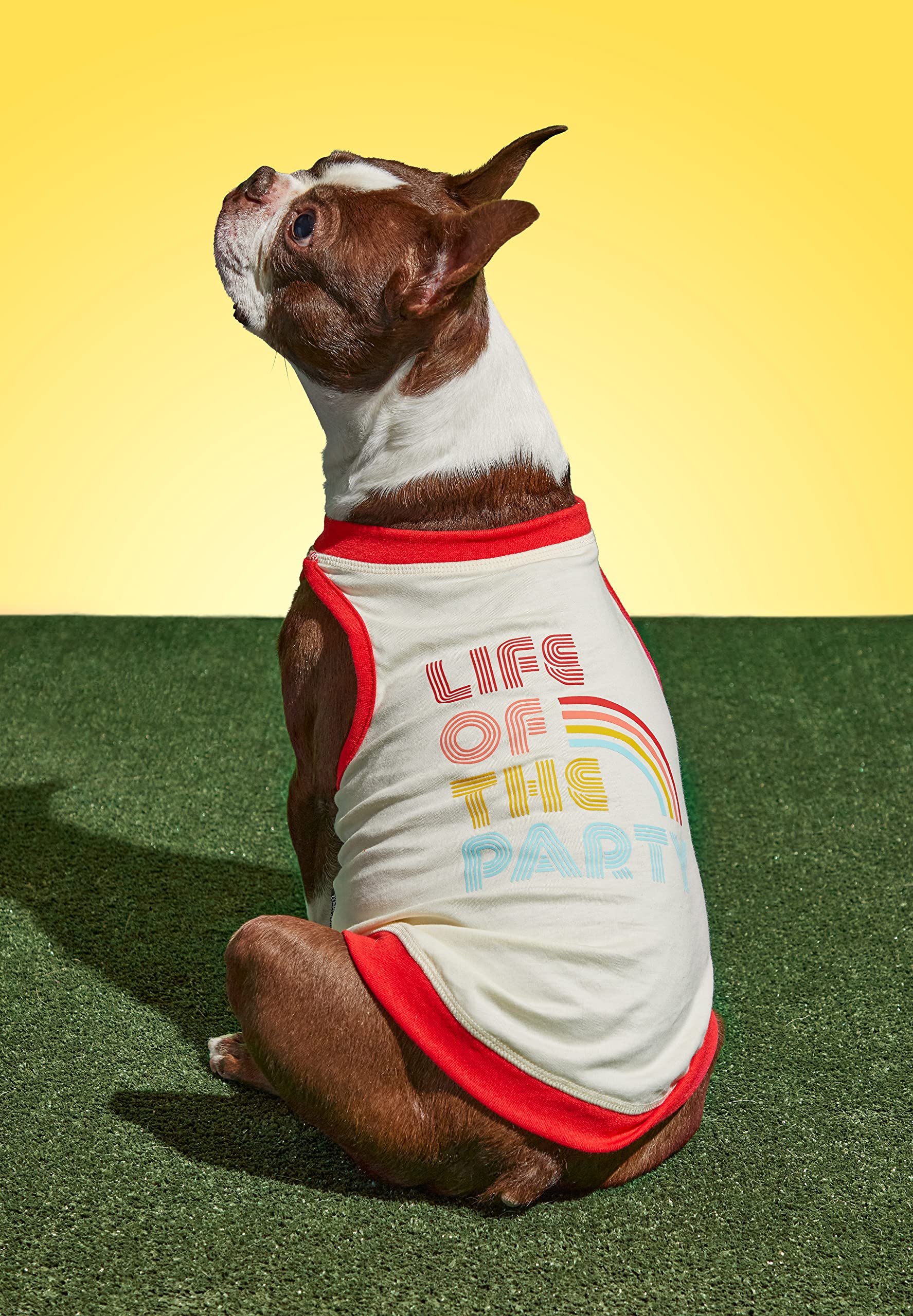 Brass Monkey Life Of The Party Dog Tank; Pre-Shrunk Cotton Pet Muscle Tank; Small (16' Chest); Cute Dog Accessories With Eye-Ca