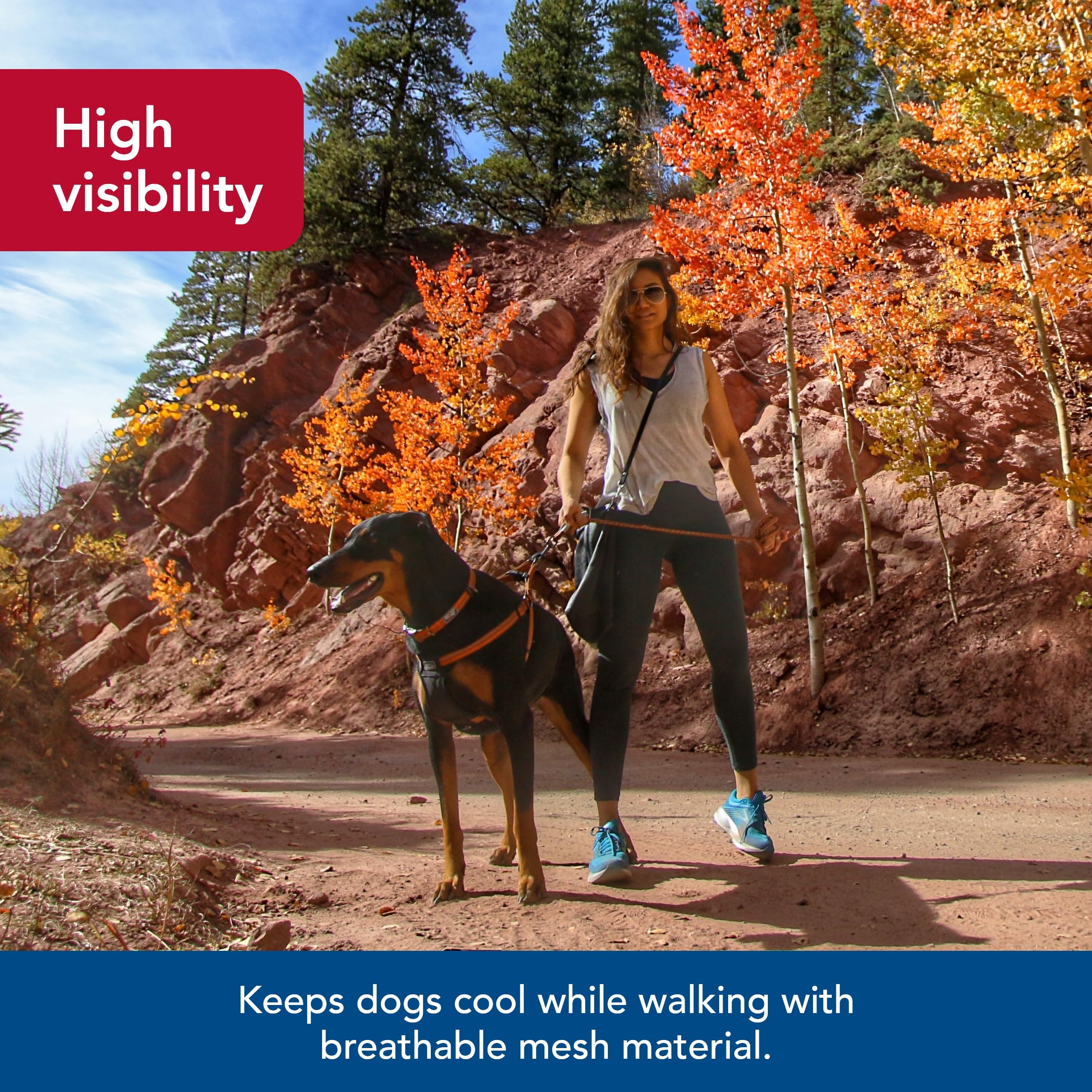 Coastal Pet K9 Explorer Reflective Adjustable Padded Dog Harness - Plush Chest Pad For Comfort - No-Pull Dog Harness For Small And Large Dogs - Berry - 5/8' X 12'-18', X-Small