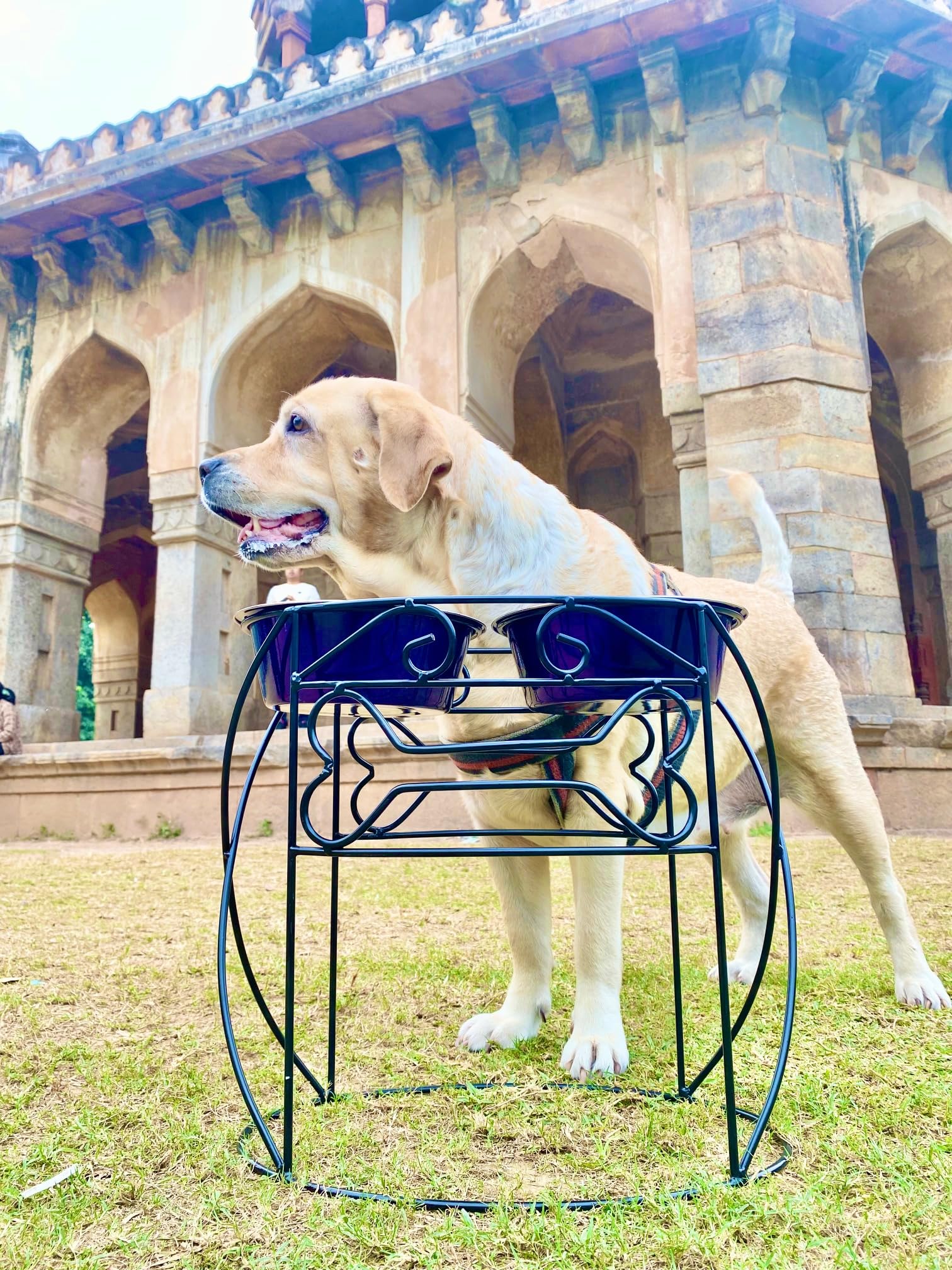 Pet Food Bowl Stand, No Choking, Good Digestion, Clean Floor, No Spill  16 Inch Height 1900 Ml 2 Bowls  Raised Dog Food Water 