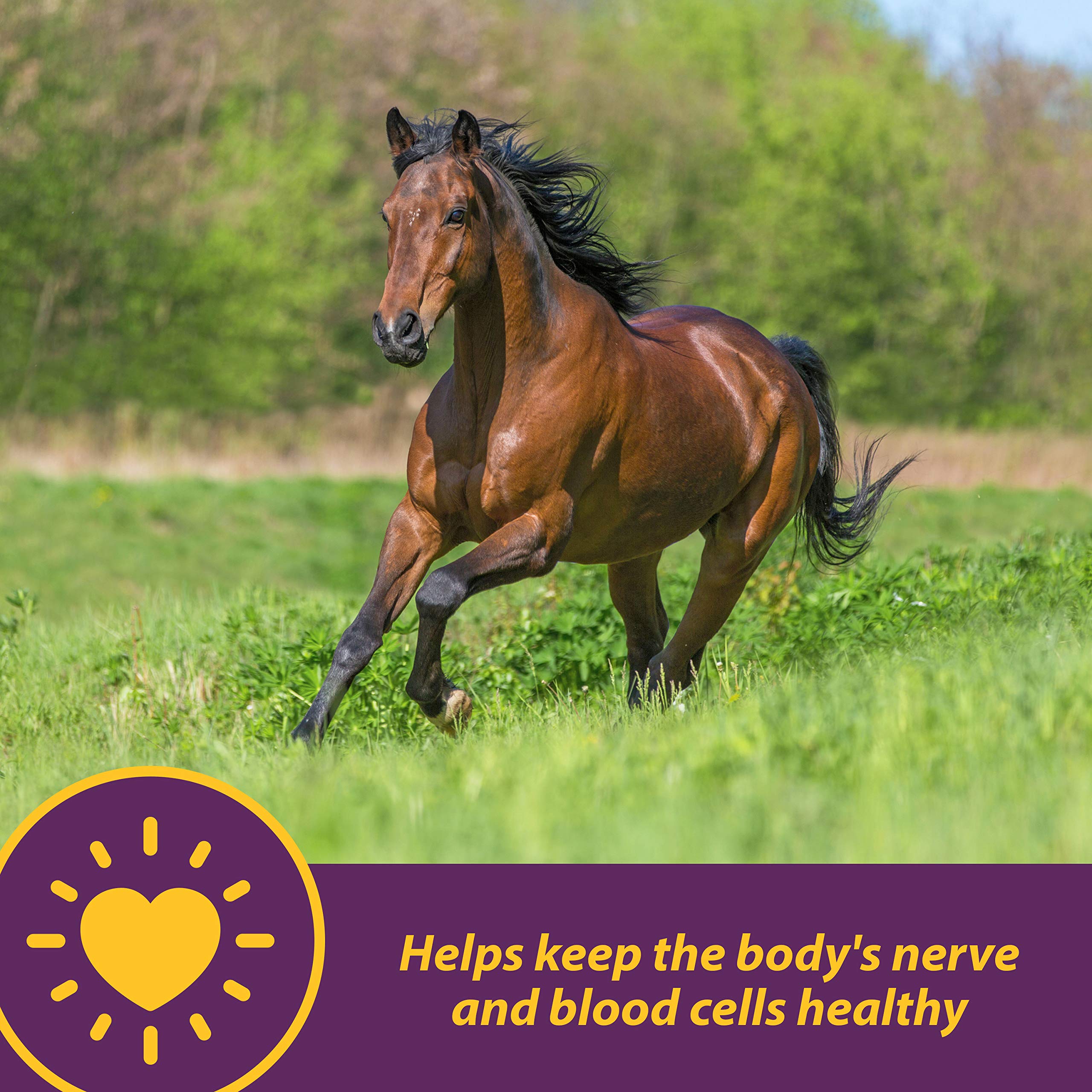 Horse Health Vita B-12 Crumbles Supplement for Horses, Supports red Blood Cell Production for Peak Performance, 3 pounds, 48 Day