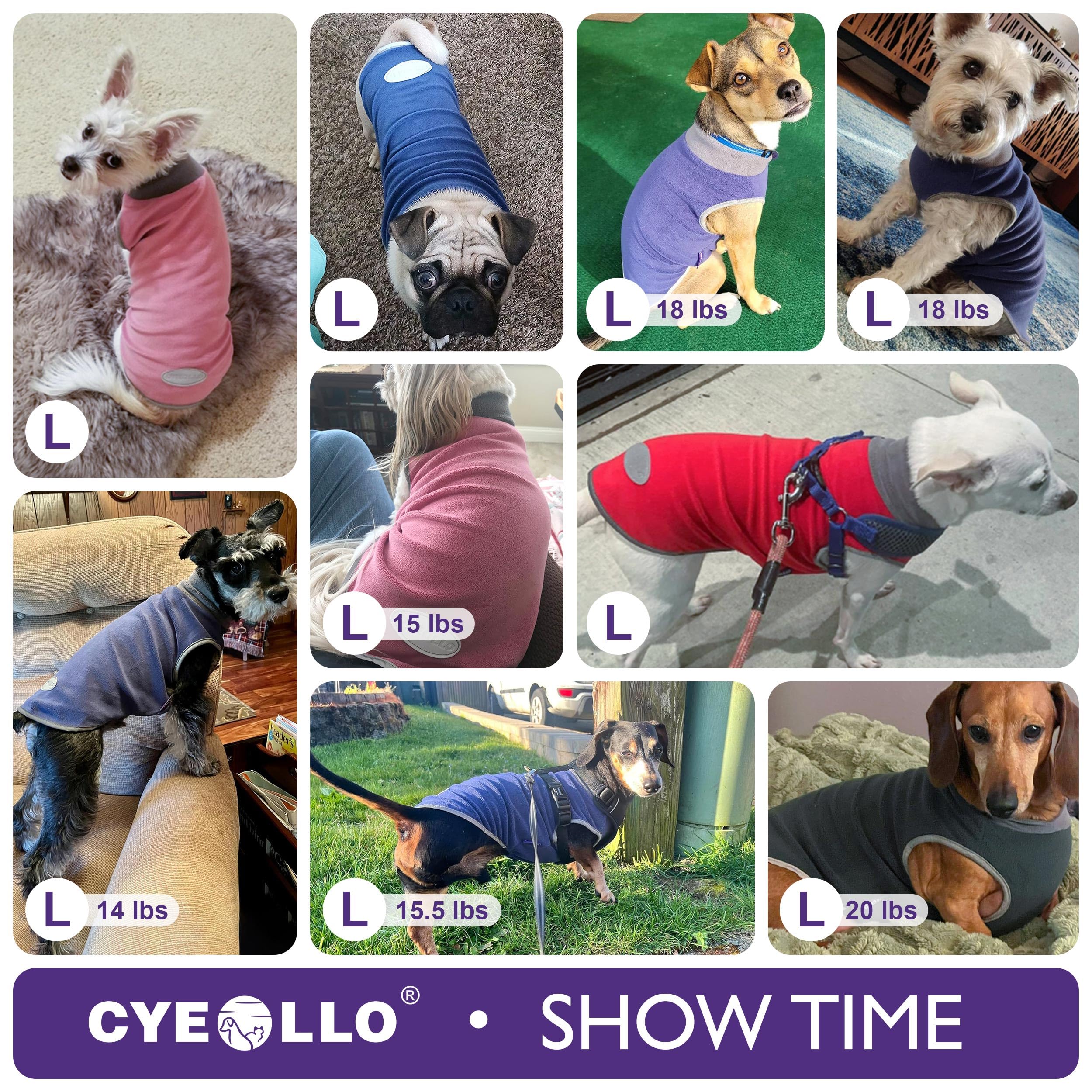 Cyeollo 2 Pack Small Dog Sweater Stretchy Fleece Sweatshirt Boy Dog Sweatshirt With Reflective Stripe Pet Pullover Dog Clothes D