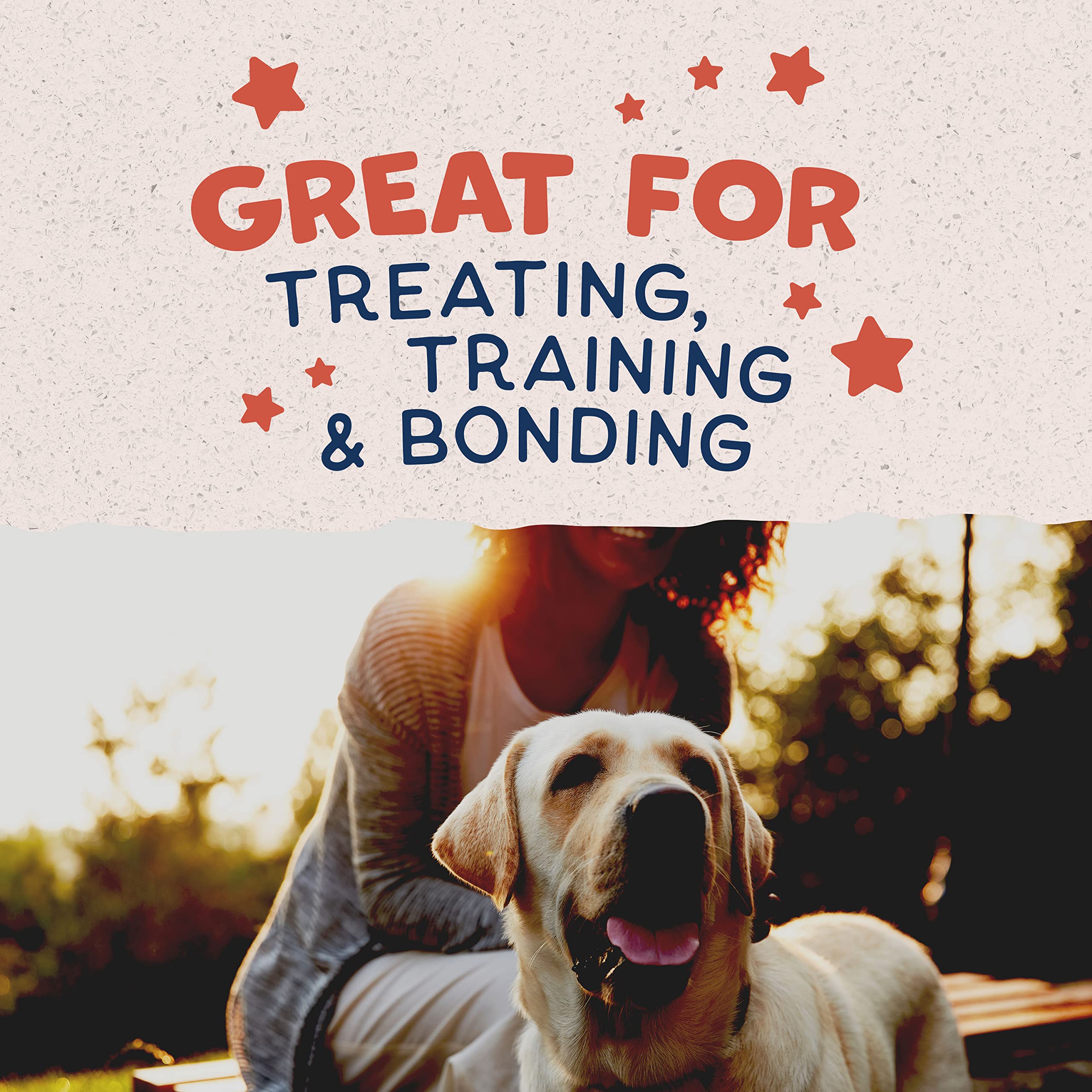 Natural Balance Limited Ingredient Rewards Crunchy Biscuits, Grain-Free Dog Treats for Adult Dogs of All Breeds, Salmon Recipe,