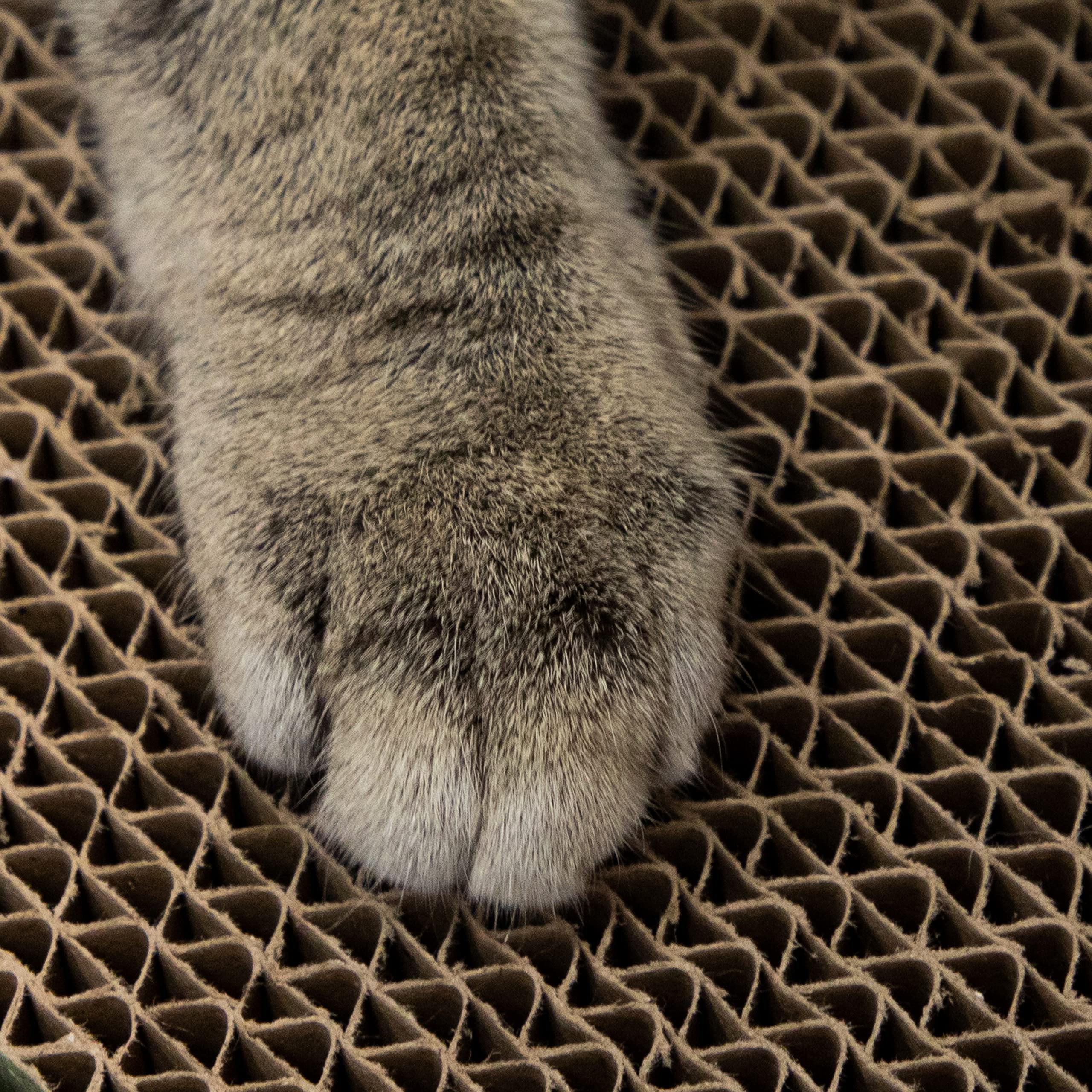 Chew King Premium Treat Dog Toy, Medium, Extremely Durable Natural Rubber Fillable Toy Collection, Frozen Feeding, All Breed Siz