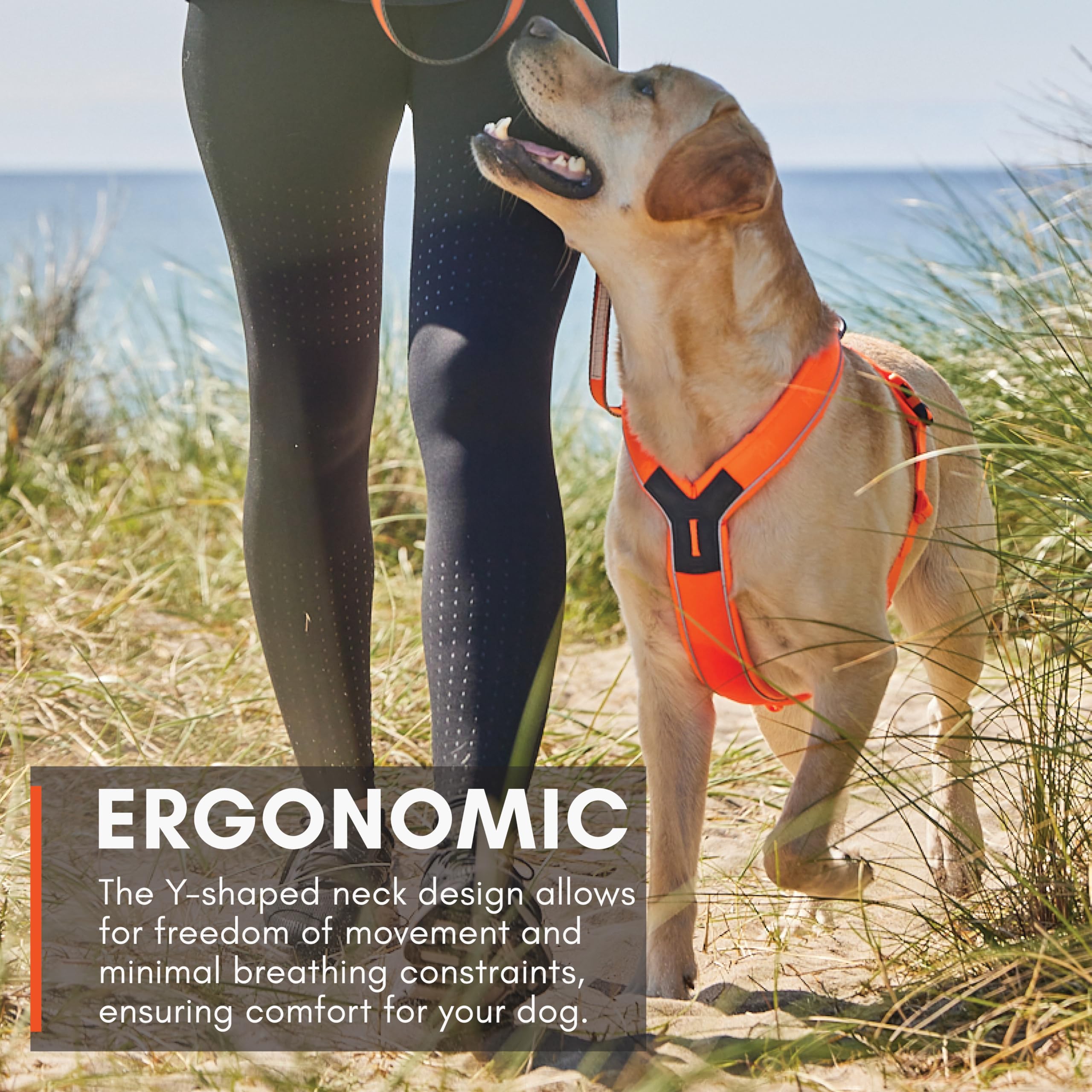 Non-Stop Dogwear Line Harness 5.0, Padded Dog Harness For Medium Dogs, Made For Hiking, Sport And Everyday Active Life With 3 Le