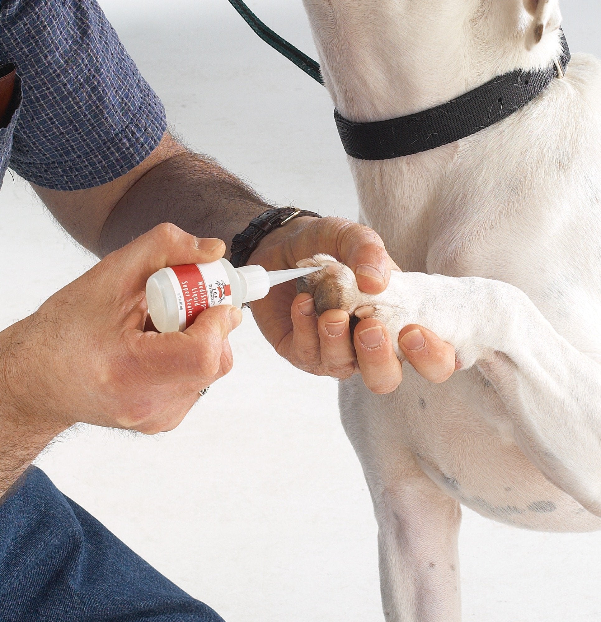 Top Performance Medistyp Liquid Super Sealer - Liquid Bandage For Treating Minor Nicks And Cuts On Dogs And Cats 0.5-Ounces