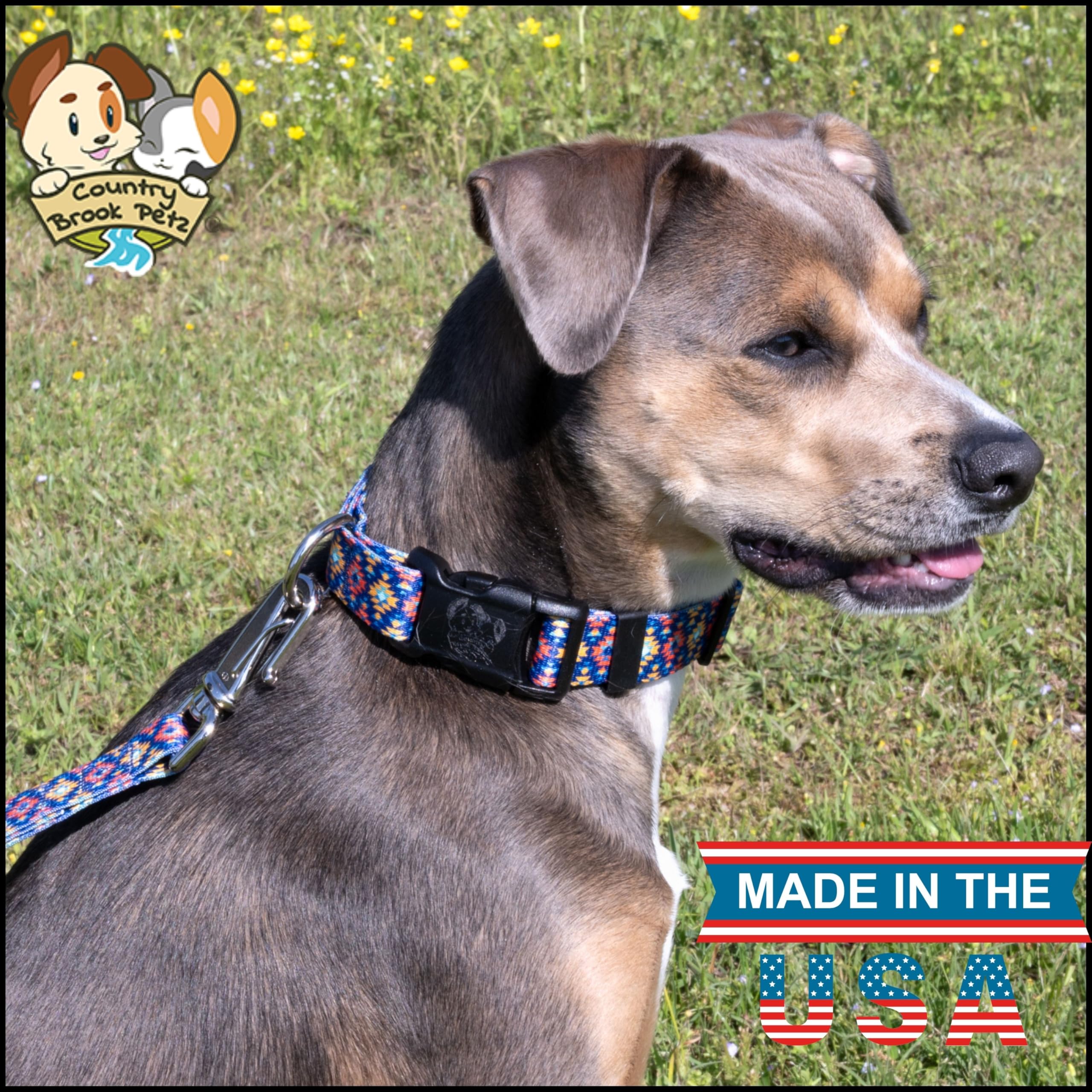 Country Brook Petz - Deluxe Utah Dog Collar - Made In The U.S.A. - Country And Western Collection Featuring Rustic Designs (1 In