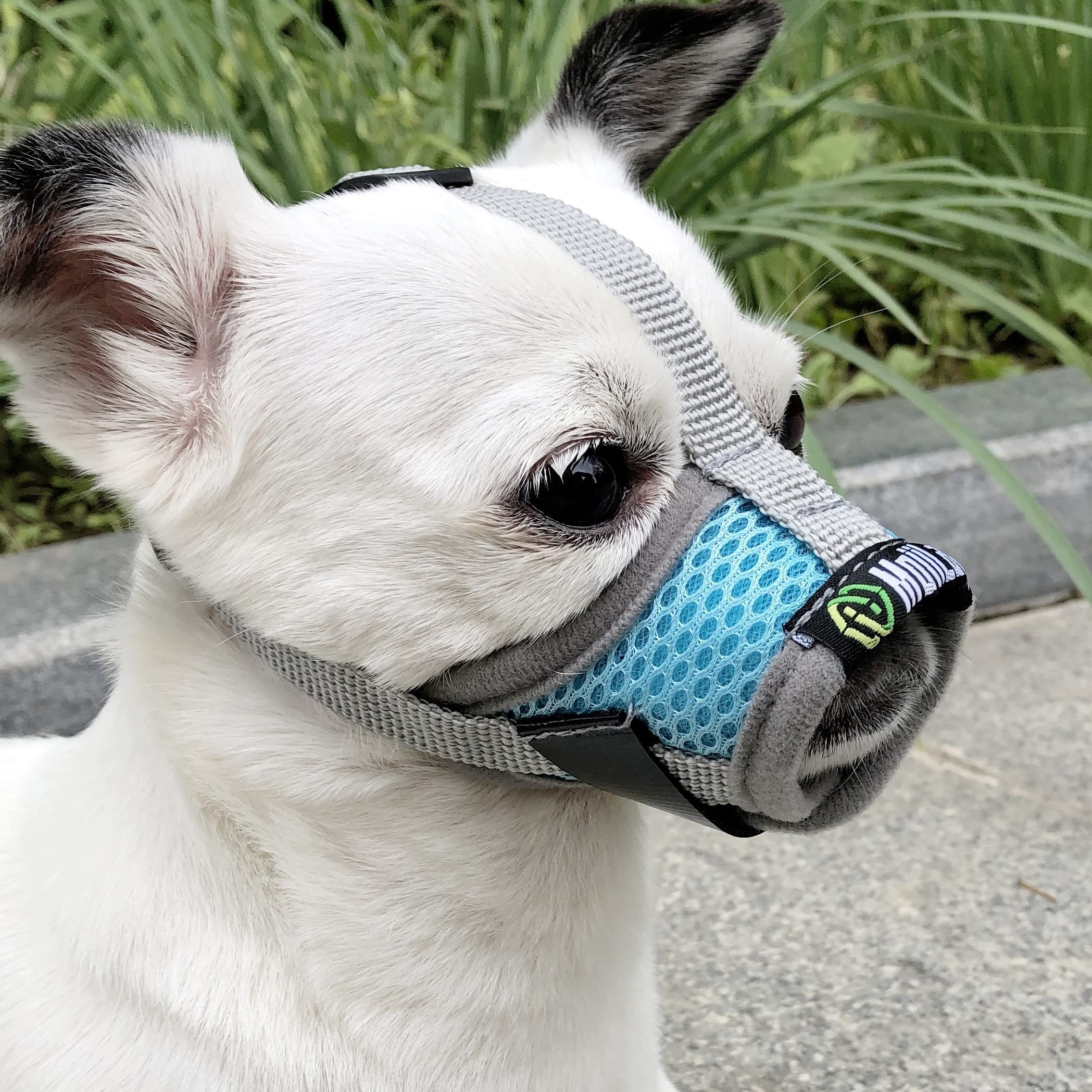MoiiLavin Dog Muzzle, Breathable Mesh Muzzles for Small Dogs 5-15bls, Chihuahua Muzzle for Biting Barking, Adjustable Puppy Muzz