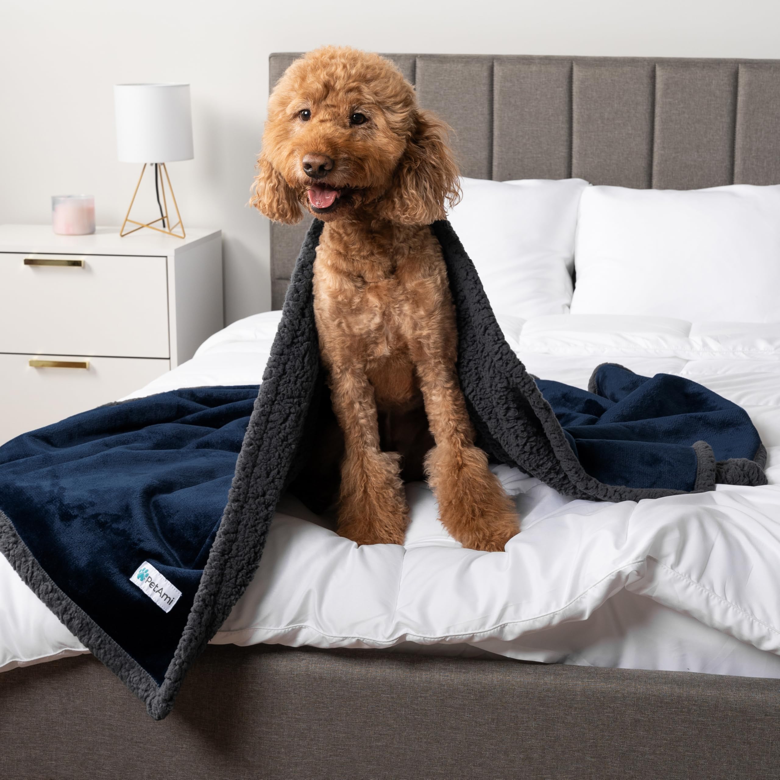 Petami Waterproof Dog Blanket For Bed, Xl Dog Pet Blanket Couch Cover Protection, Sherpa Fleece Leakproof Bed Blanket For Crate Kennel Sofa Furniture Protector, Reversible Soft Plush 80X60 Navy Gray