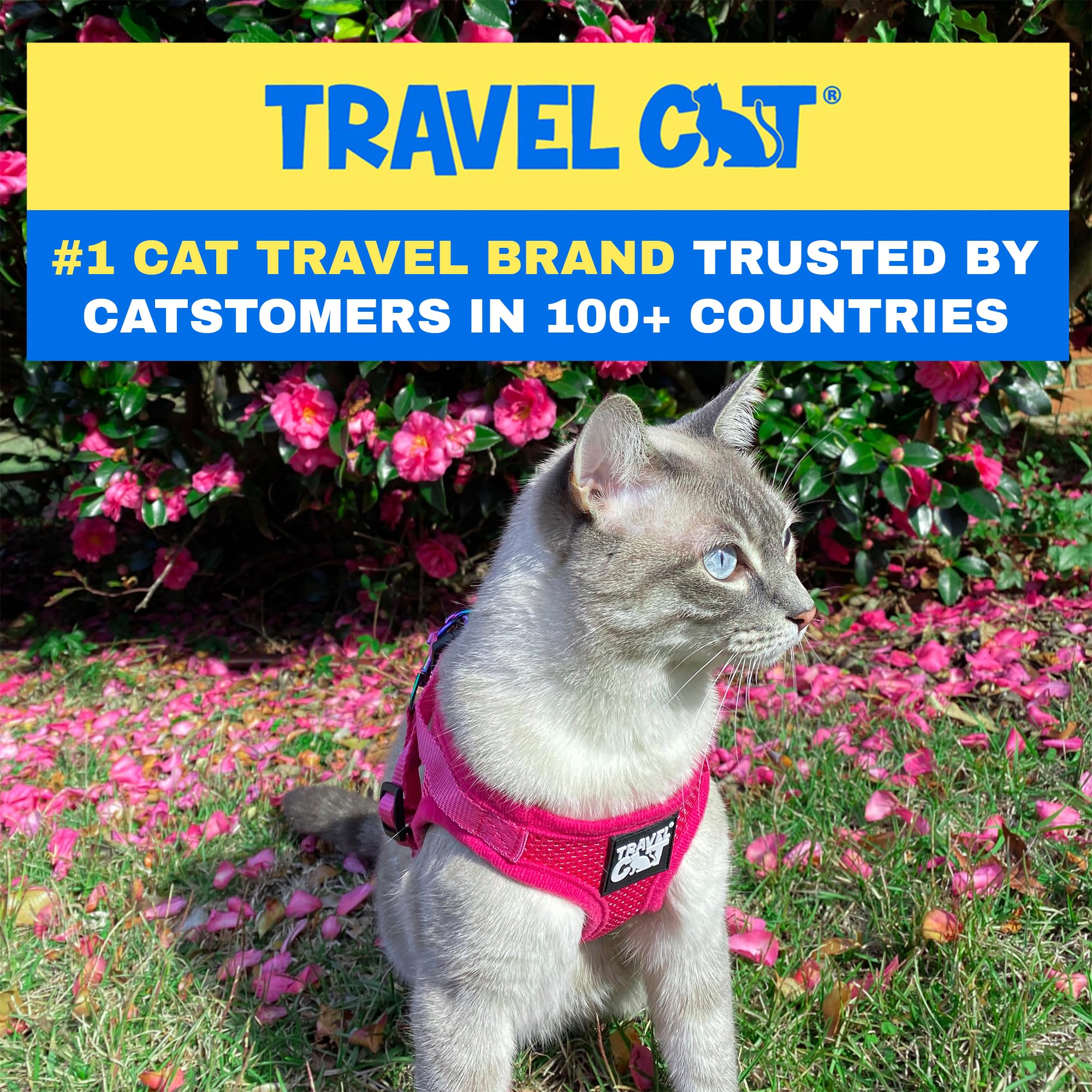 Travel Cat Harness And Leash Set - Adjustable Fit Mesh Cat Harness And Reflective Strap - Comfort Walking Vest For Kitten For Ou