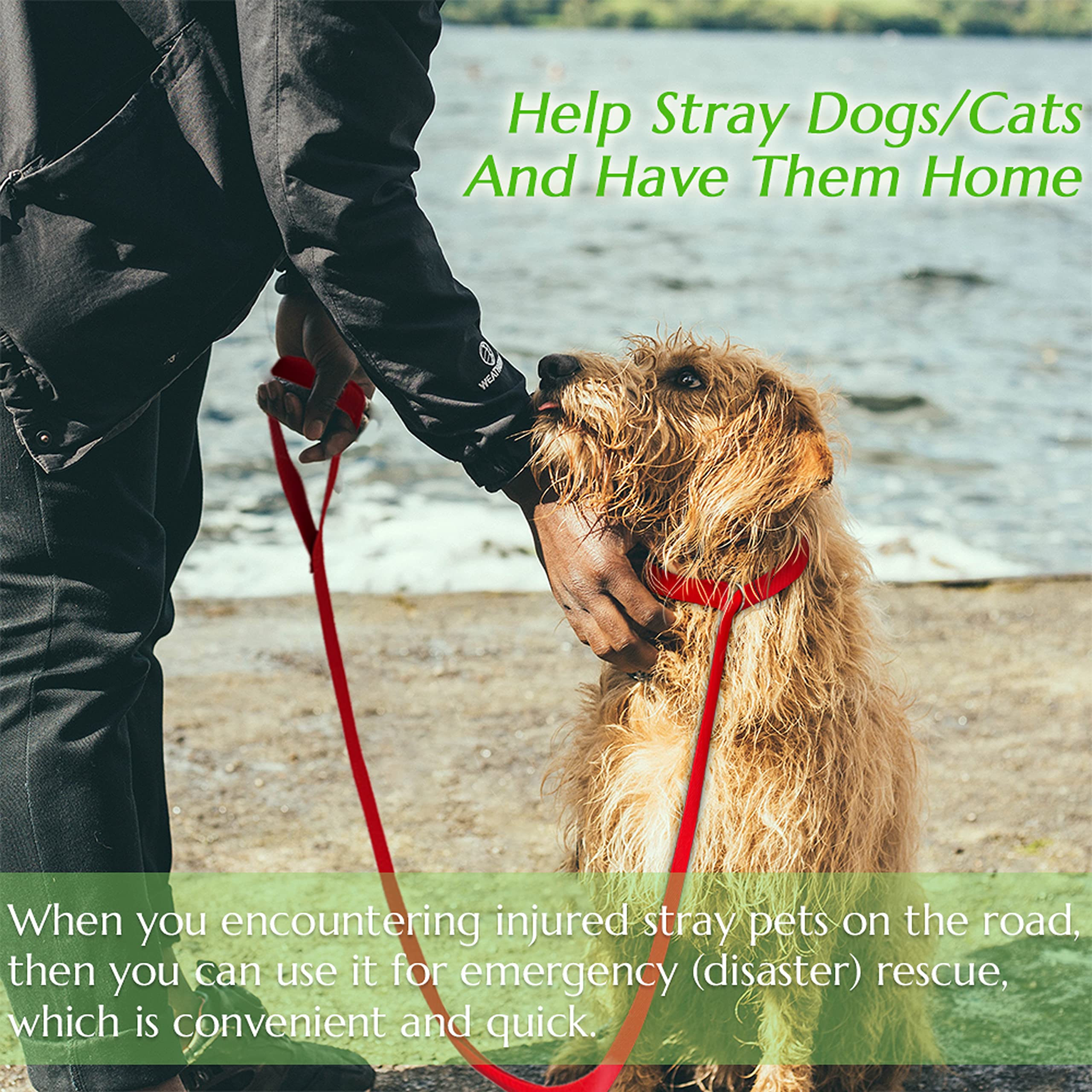 Covgopi Slip Lead Dog Leash, 6 Pcs Short Pet Leashes Slip Leads For Dogs Cats Grooming Shelter Rescues Walking Training,Etc., 6 Ft Strong Pulling Durable Dog Leash With O-Ring