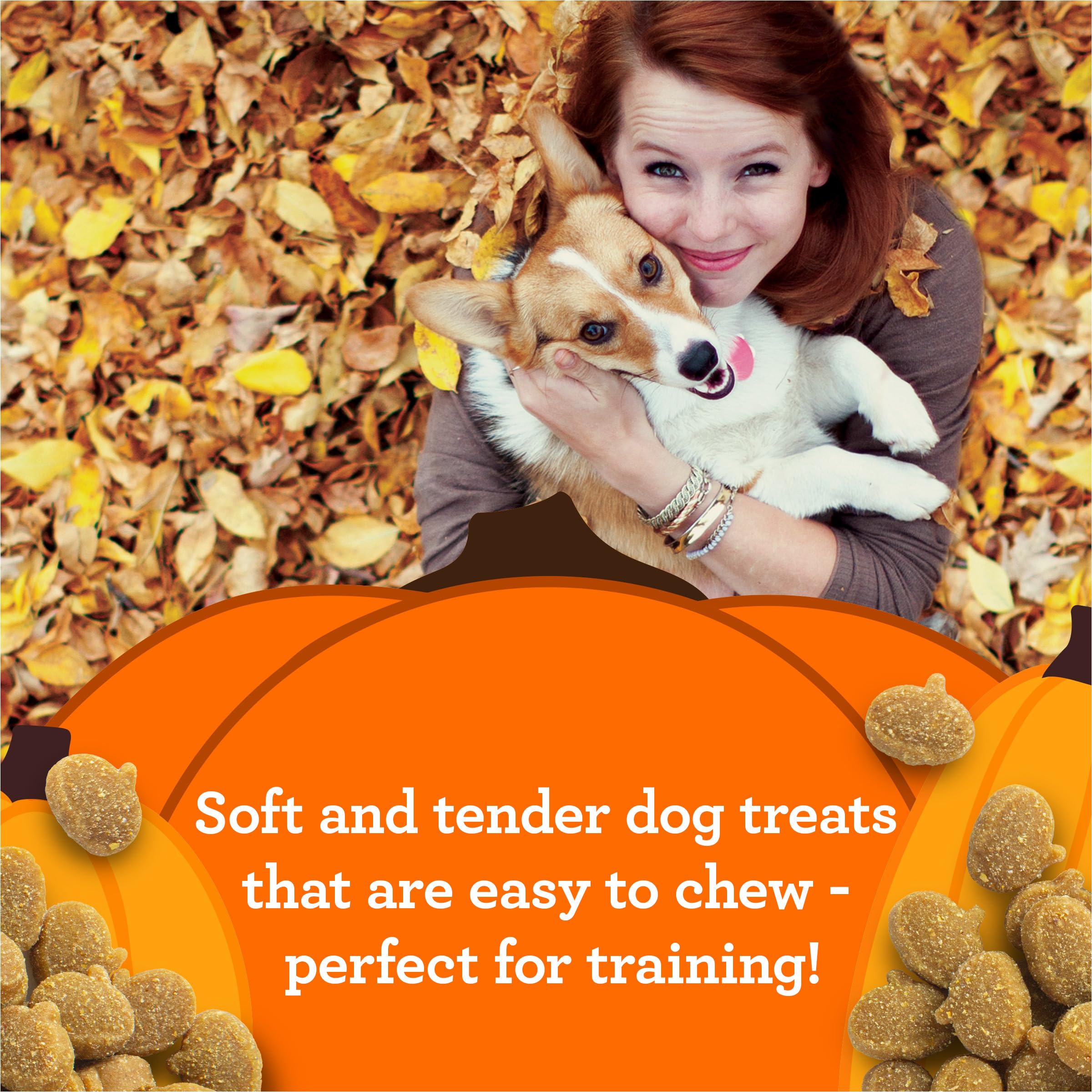 Zukes Mini Naturals Dog Training Treats for Dogs of All Sizes, Pet Treats made with Real Turkey and Pumpkin, 5 oz. Resealable Po
