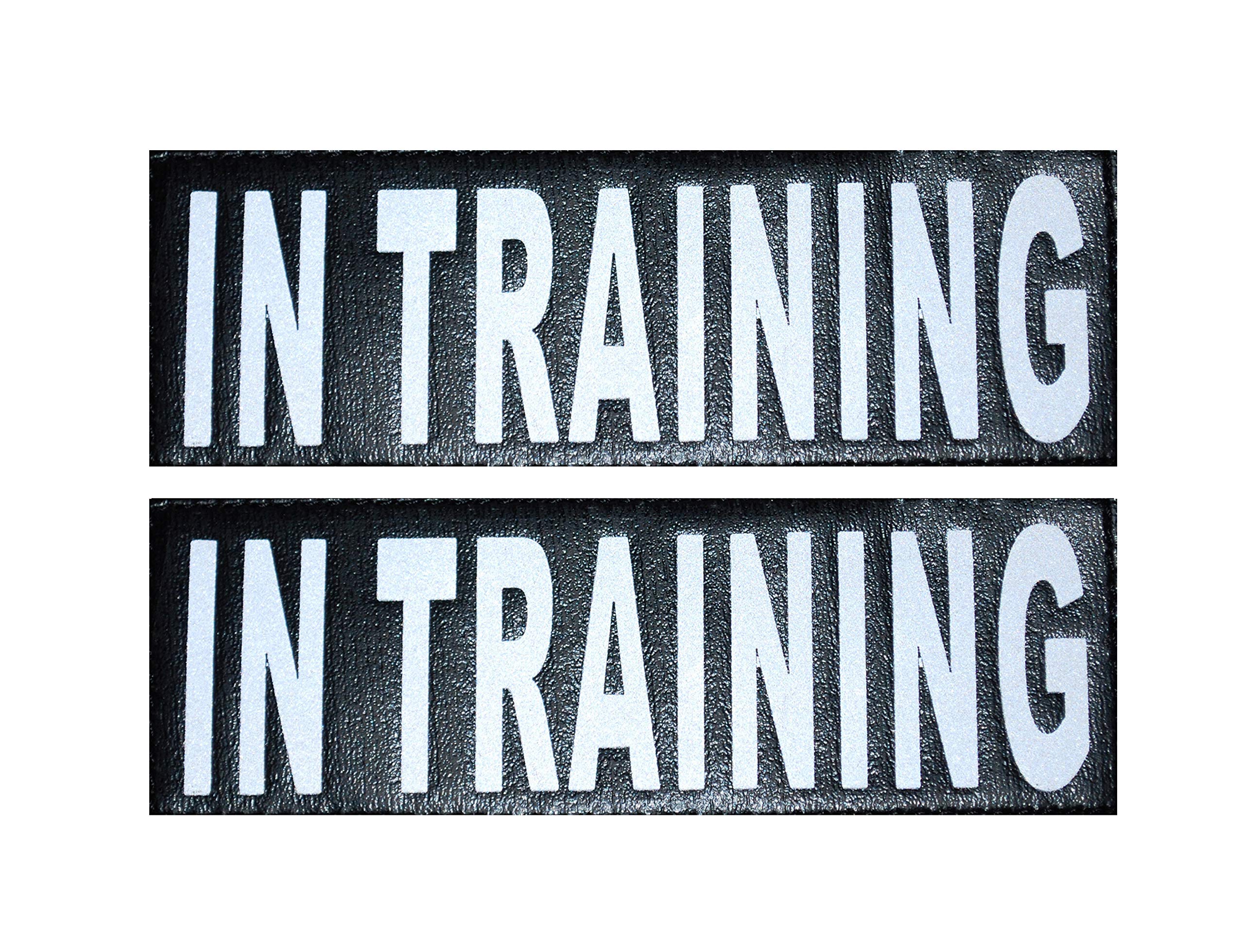 Doggie Stylz Set Of 2 Reflective In Training Removable Patches With Hook Backing For Working Dog Harnesses & Vests. Durable And Interchangeable - Comes In 3 Sizes Small, Medium And Large