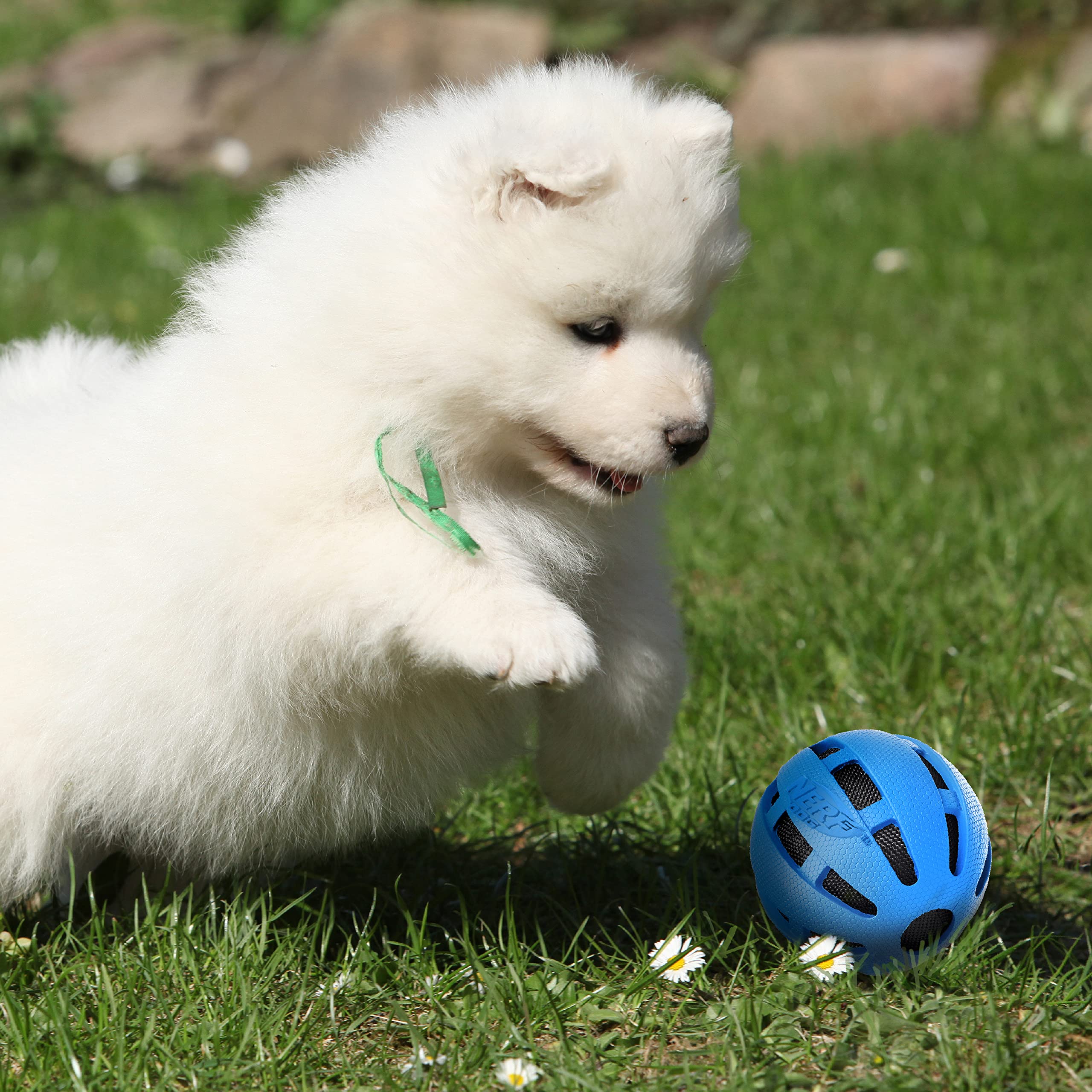 Nerf Dog Checker Ball Dog Toy With Interactive Crunch, Lightweight, Durable And Water Resistant, 3.8 Inches For Small/Medium/Large Breeds, Single Unit, Red
