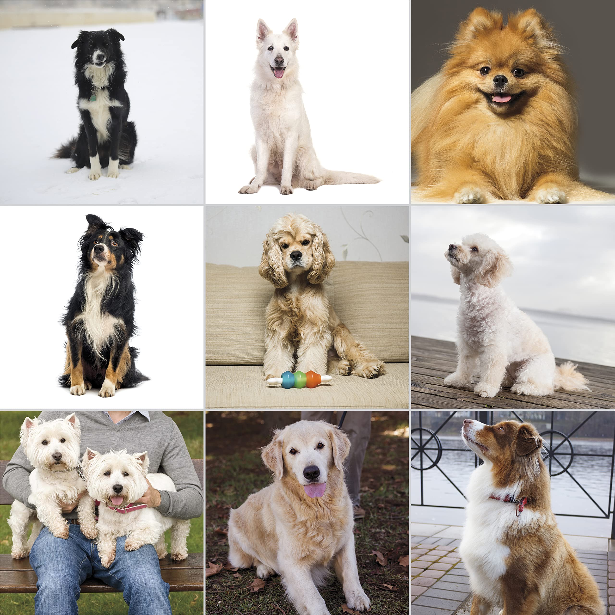 Wahl Pet-Pro Corded Clipper & Battery Trimmer Pet Grooming Combo Kit For Dogs With Light To Thick Coats, The Brand Used By Professionals - Model 9284