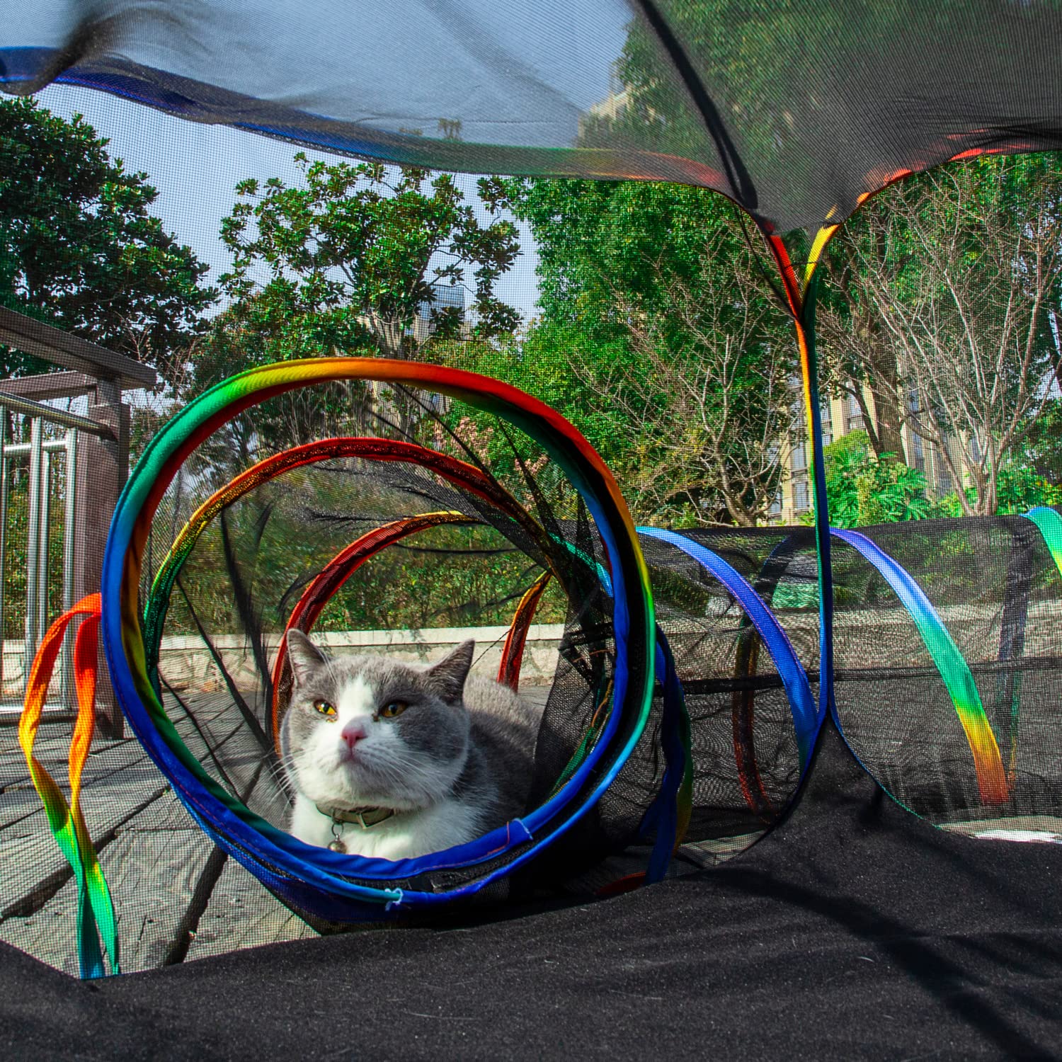 LUCKITTY Outdoor Rainbow Cat Enclosures Playground,Outside House for Indoor Cats Include Portable Cat Tent, Circle Playpen Tunne