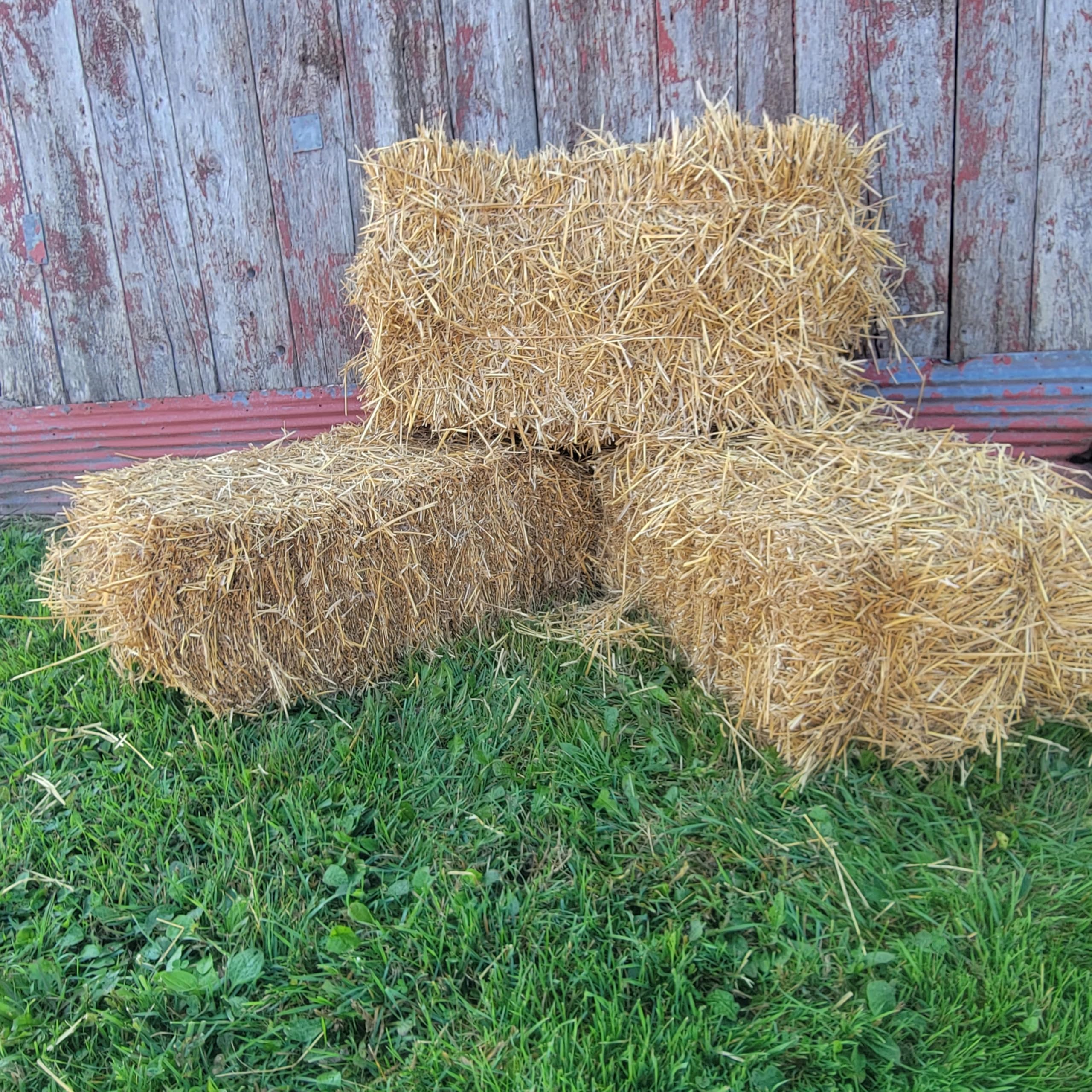 Feral Cat Bedding - Loose Wheat Straw, 5 Lbs - Clean, Natural
