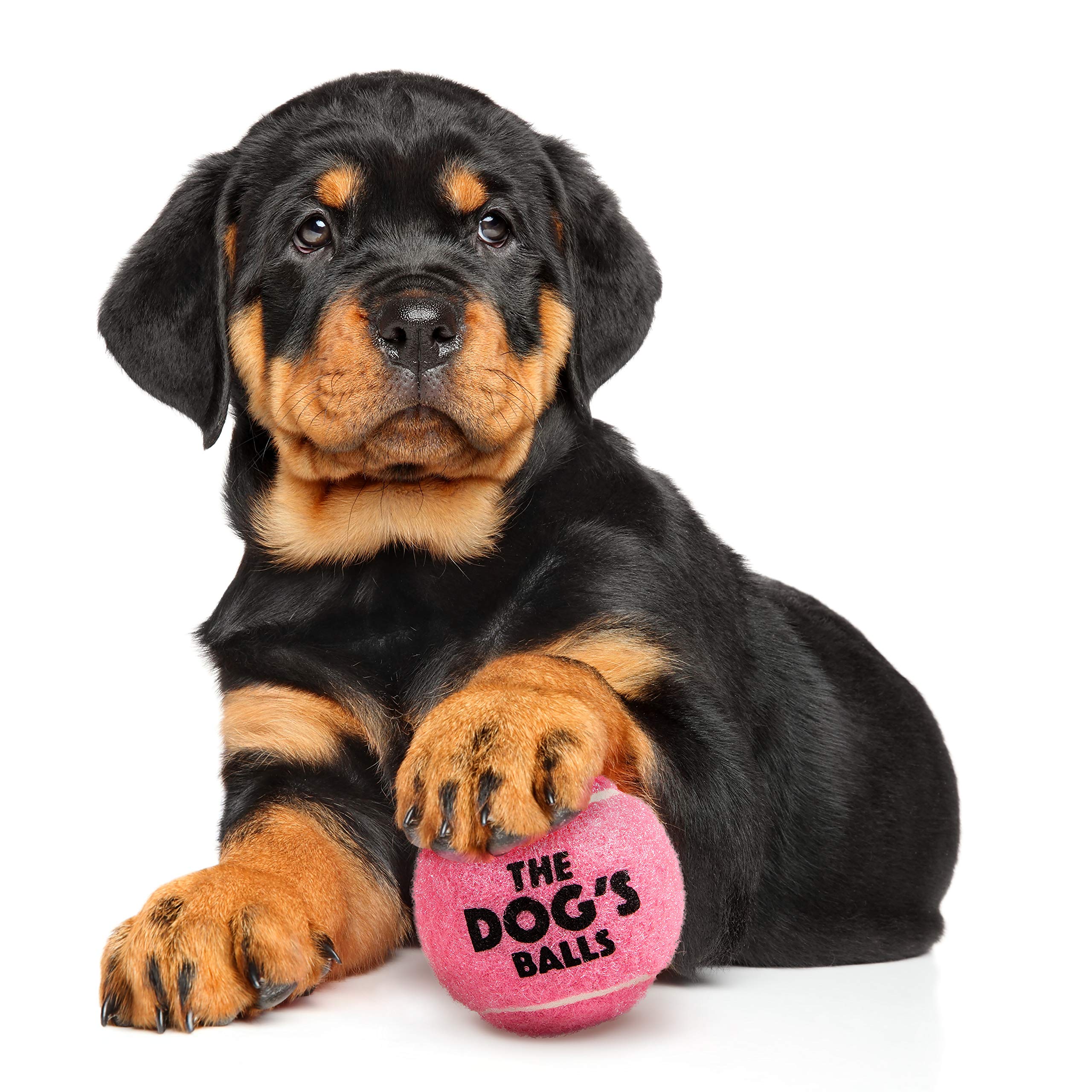 The Little Dog'S Balls, Dog Tennis Balls, 6-Pack Pink Dog Toy, Strong Dog & Puppy Ball For Training, Play, Exercise & Fetch