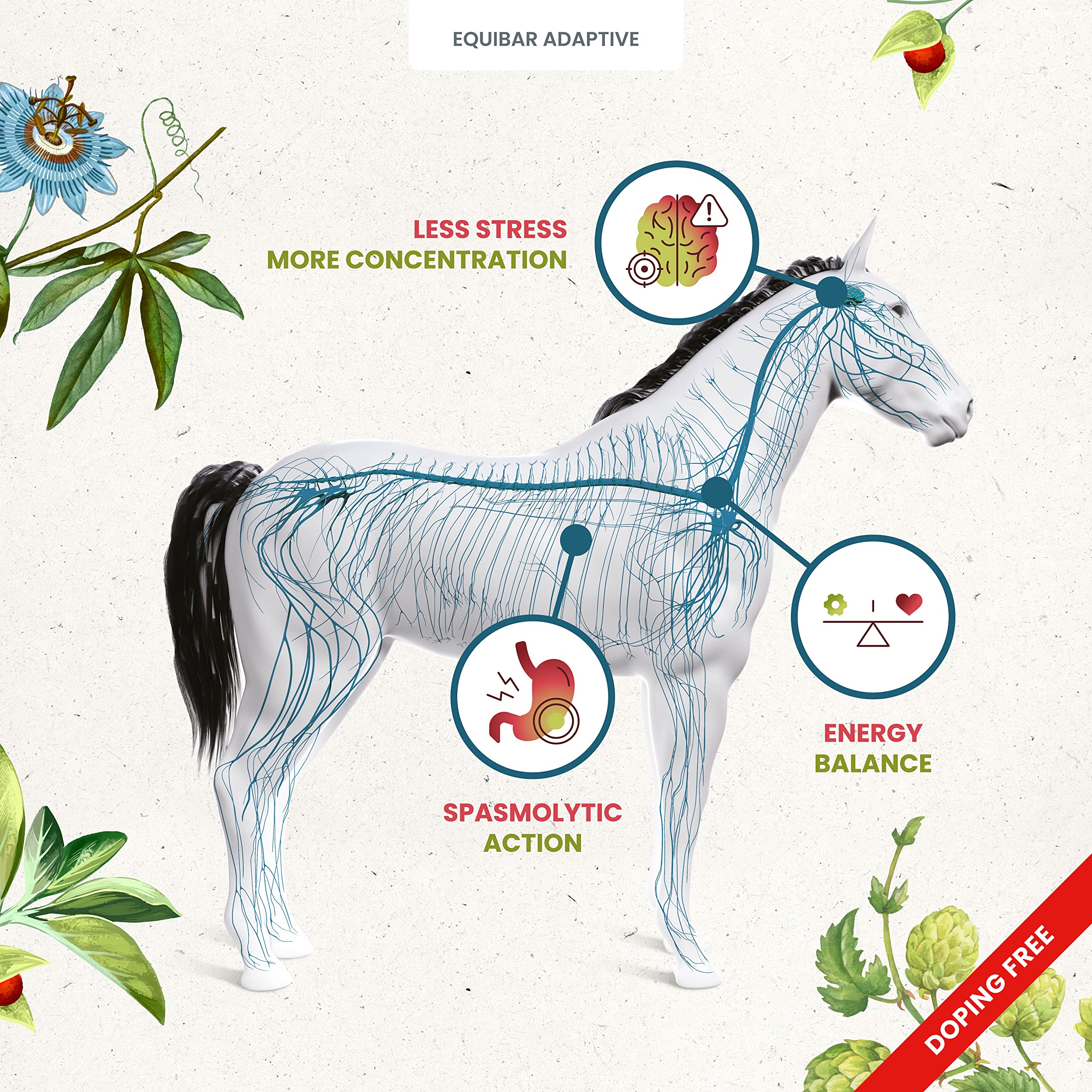 GUIDOLIN EQUIBAR Adaptive: All-Natural Nutrition bar for All Classes of Horses That Helps Concentration and relieves Stress (4,4