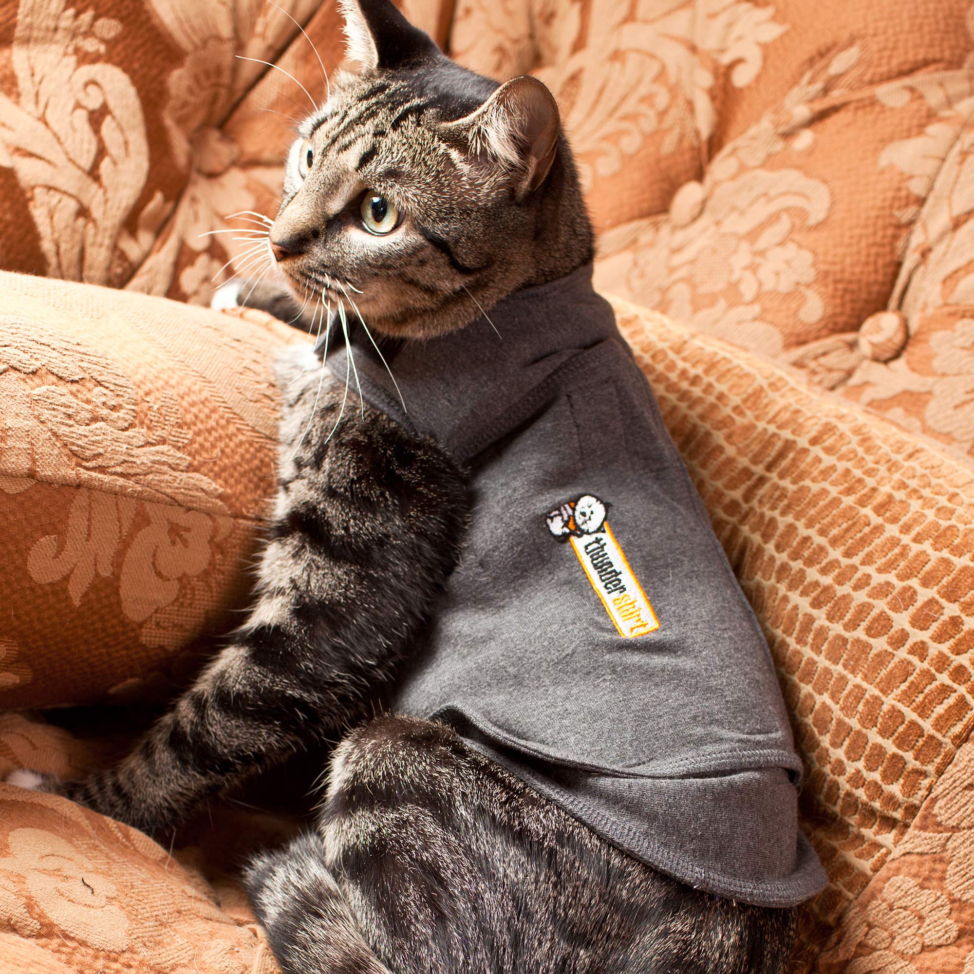 Thundershirt For Cats, Grey, Large ( > 13 Lbs)