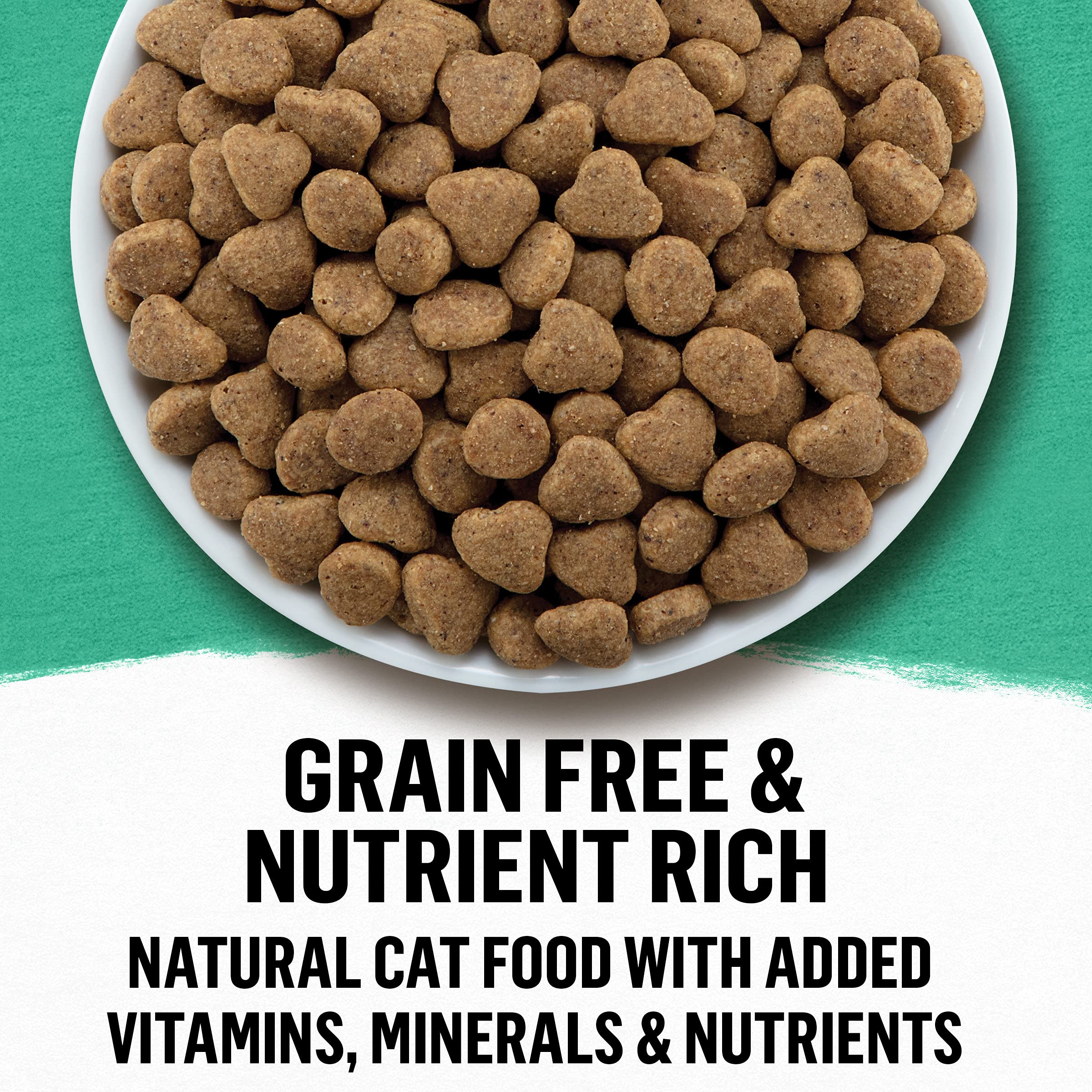 Purina Beyond Grain Free Dry Cat Food, Whitefish & Egg Recipe, 3 lb Bag