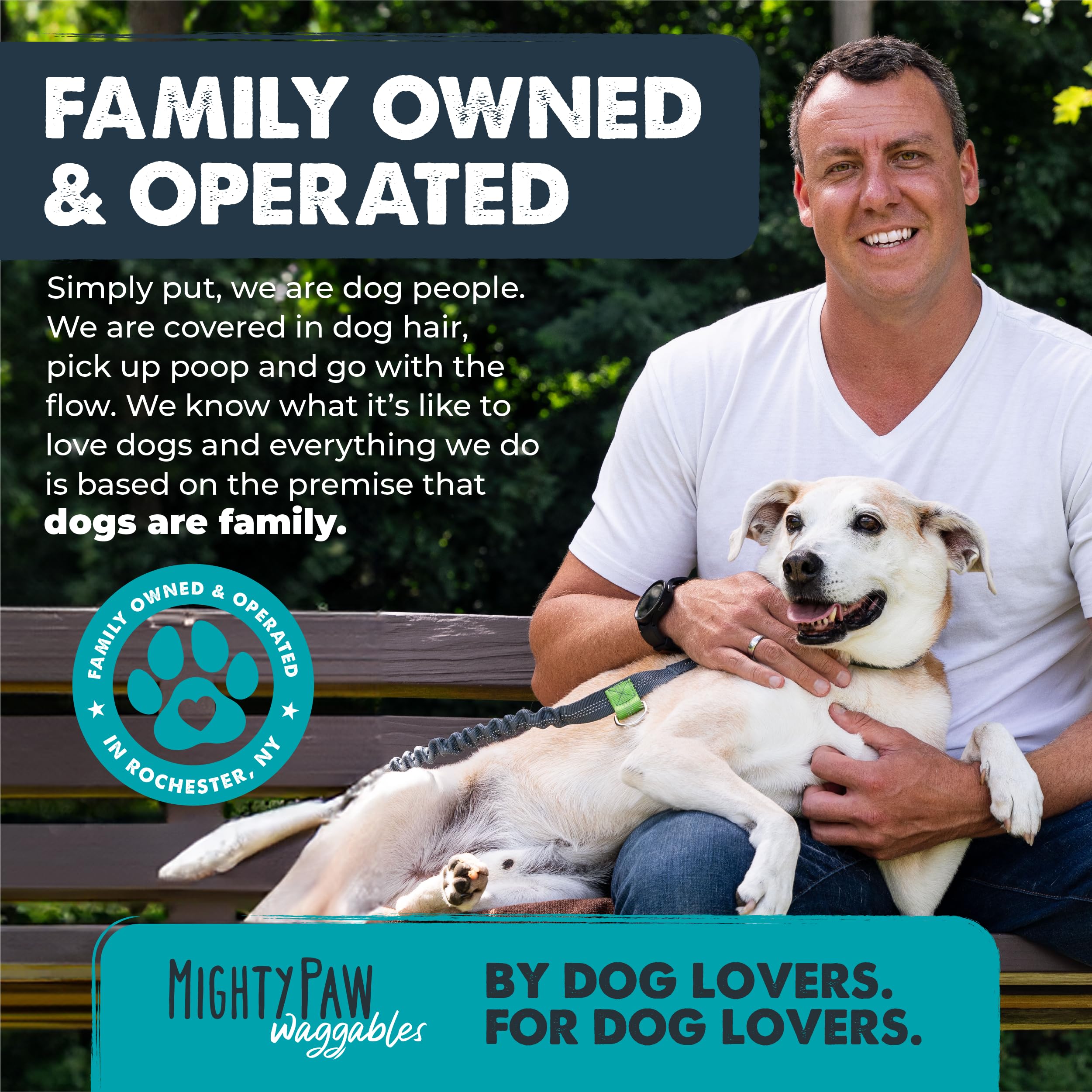 Mighty Paw Waggables Mighty Omega (Made in The USA, 120 Count) | Omega 3 Fish Oil Chew for Dogs. Salmon Flavor Skin and Coat Sup