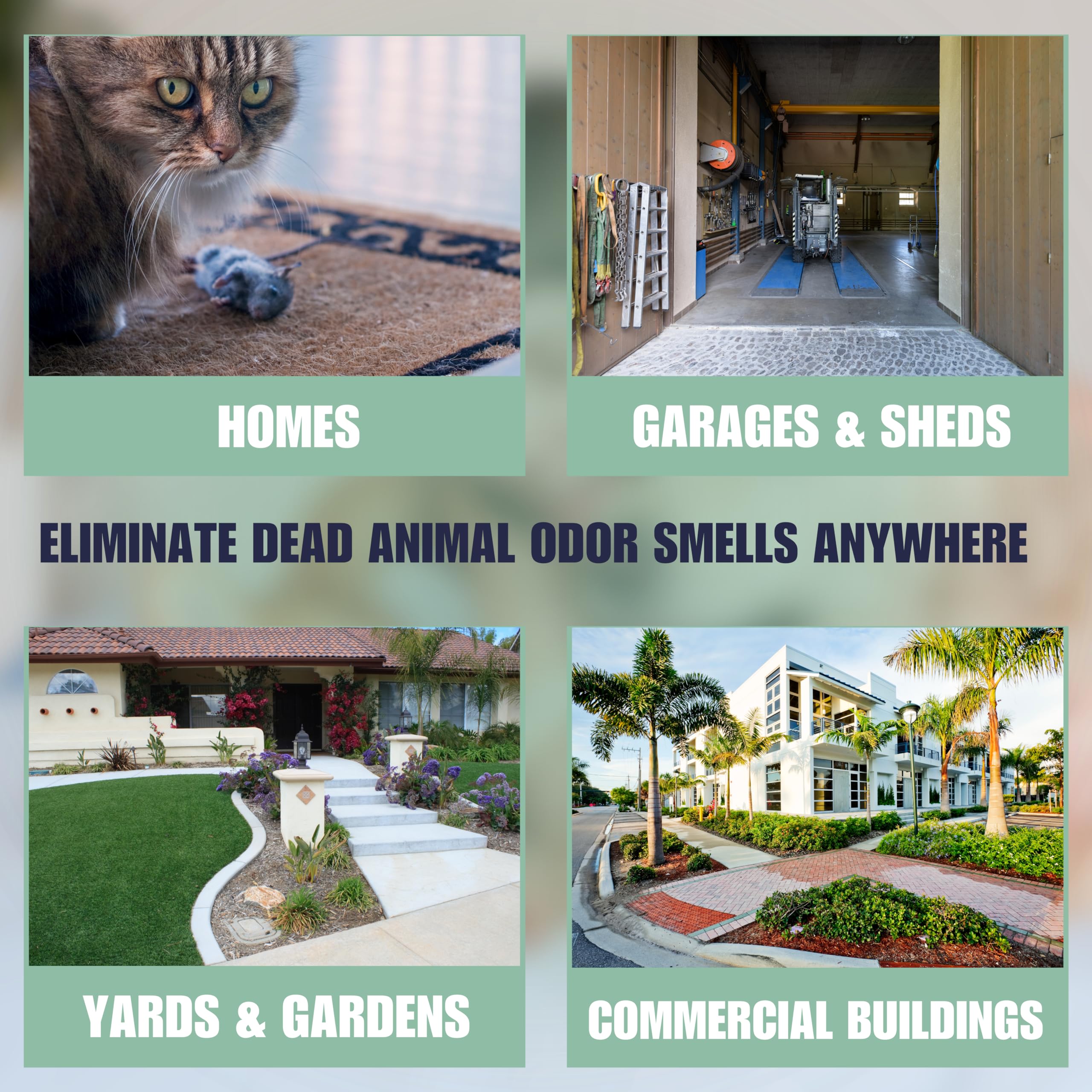 SMELLEZE Dead Animal Odor Eliminator - Natural Odor Remover for Indoor & Outdoor Use - 1 Count, Model 11304