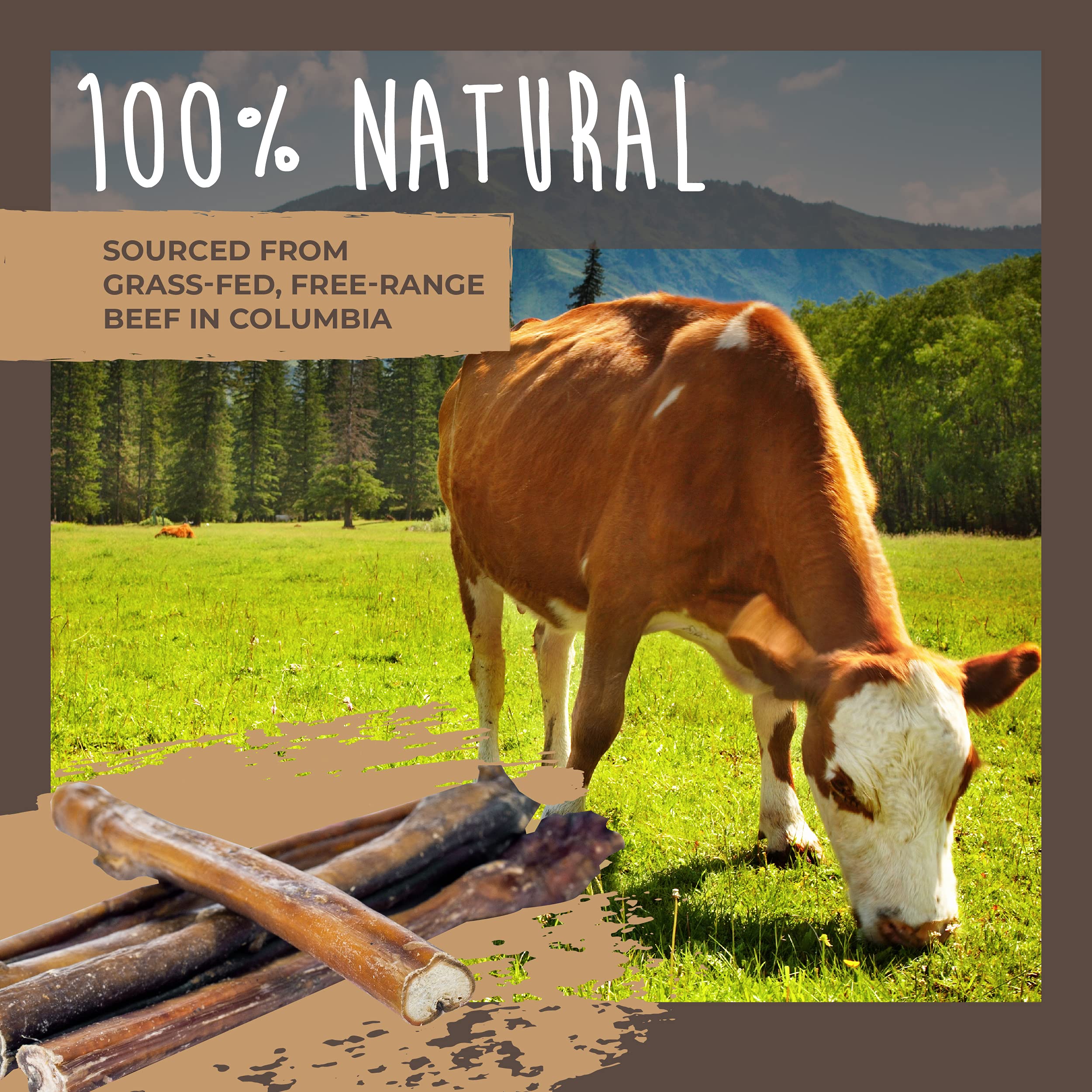 Mighty Paw Naturals Large Bully Sticks for Dogs, Protein Rich Dog Chews from Grass-Fed Beef | Thick Bully Sticks for Dental Heal