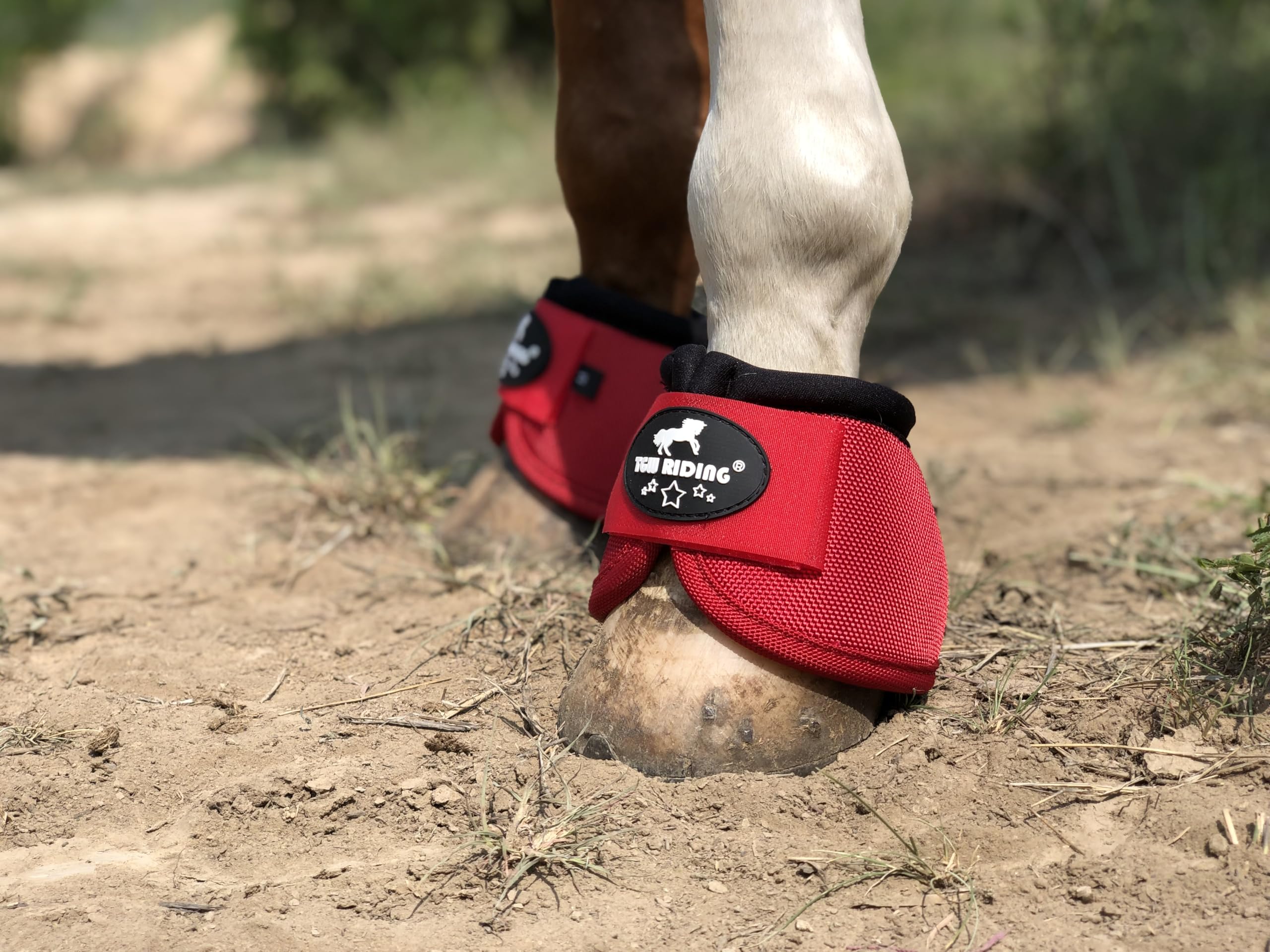 Tgw Riding 2520D Horse Bell Boots No-Turn Horse Bell Boots, Equine Ballistic Hoof Overreach Bell Boot, Pair (Red, M)