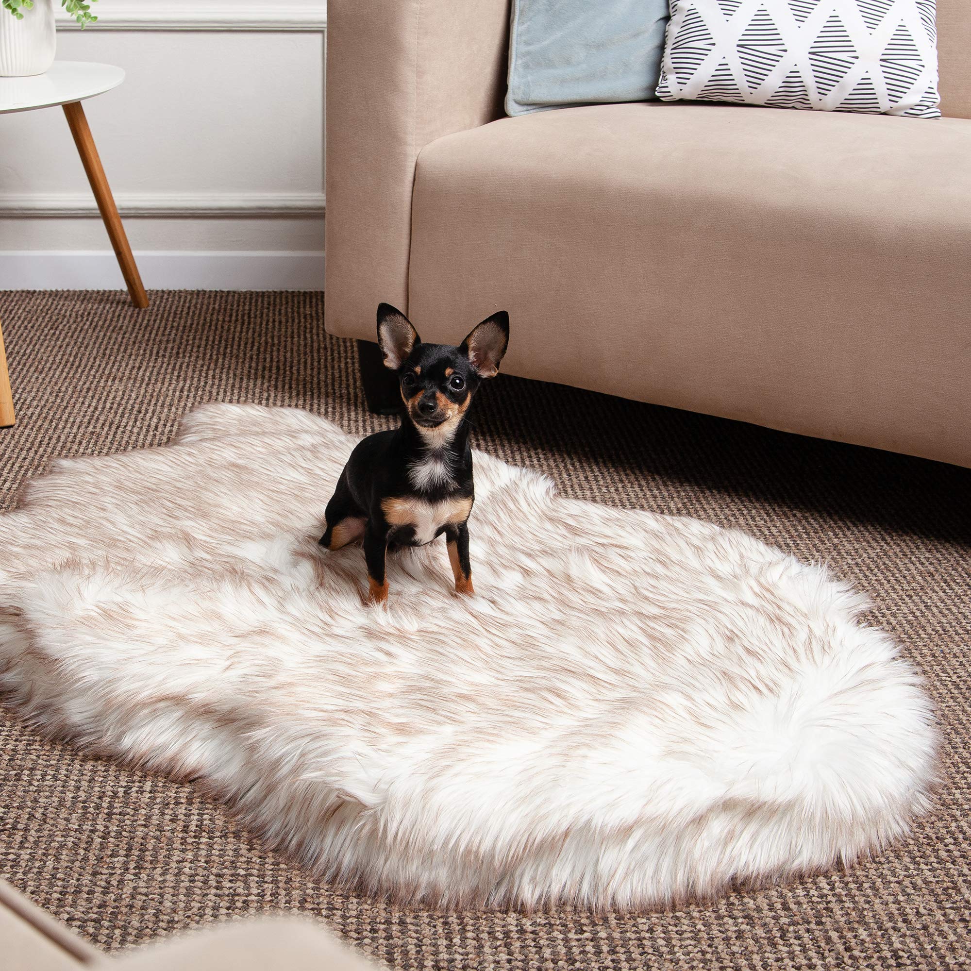 Luxury Faux Fur Orthopedic Dog Bed, Memory Foam Dog Bed For Small, Medium, Large And Xl Pets, Fluffy Pup Rug With Waterproof And Washable Soft Cover, Bone White (Medium)