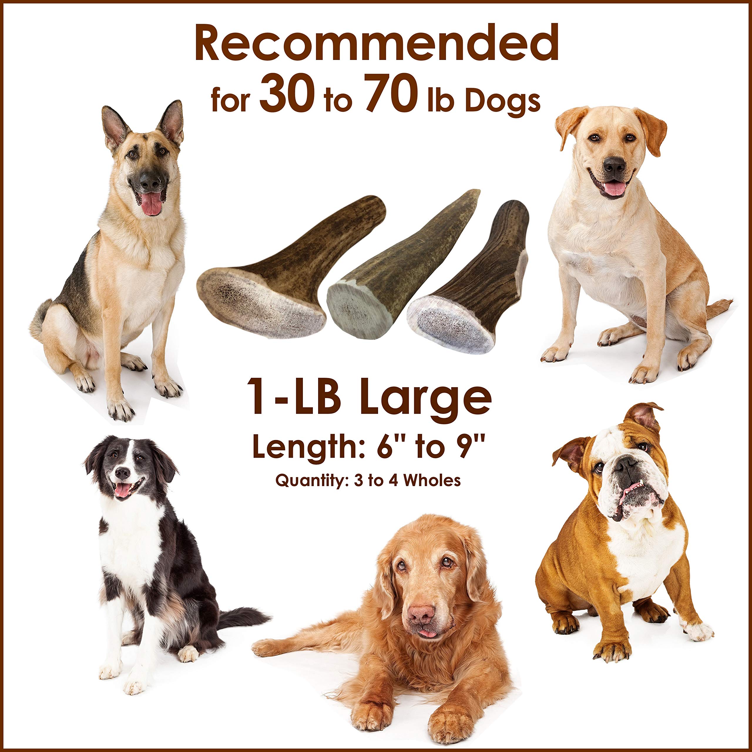 Deluxe Naturals Elk Antler Chews For Dogs | Naturally Shed Usa Collected Elk Antlers | All Natural A-Grade Premium Elk Antler Dog Chews | Product Of Usa, 1-Lb Pack Large Cuts