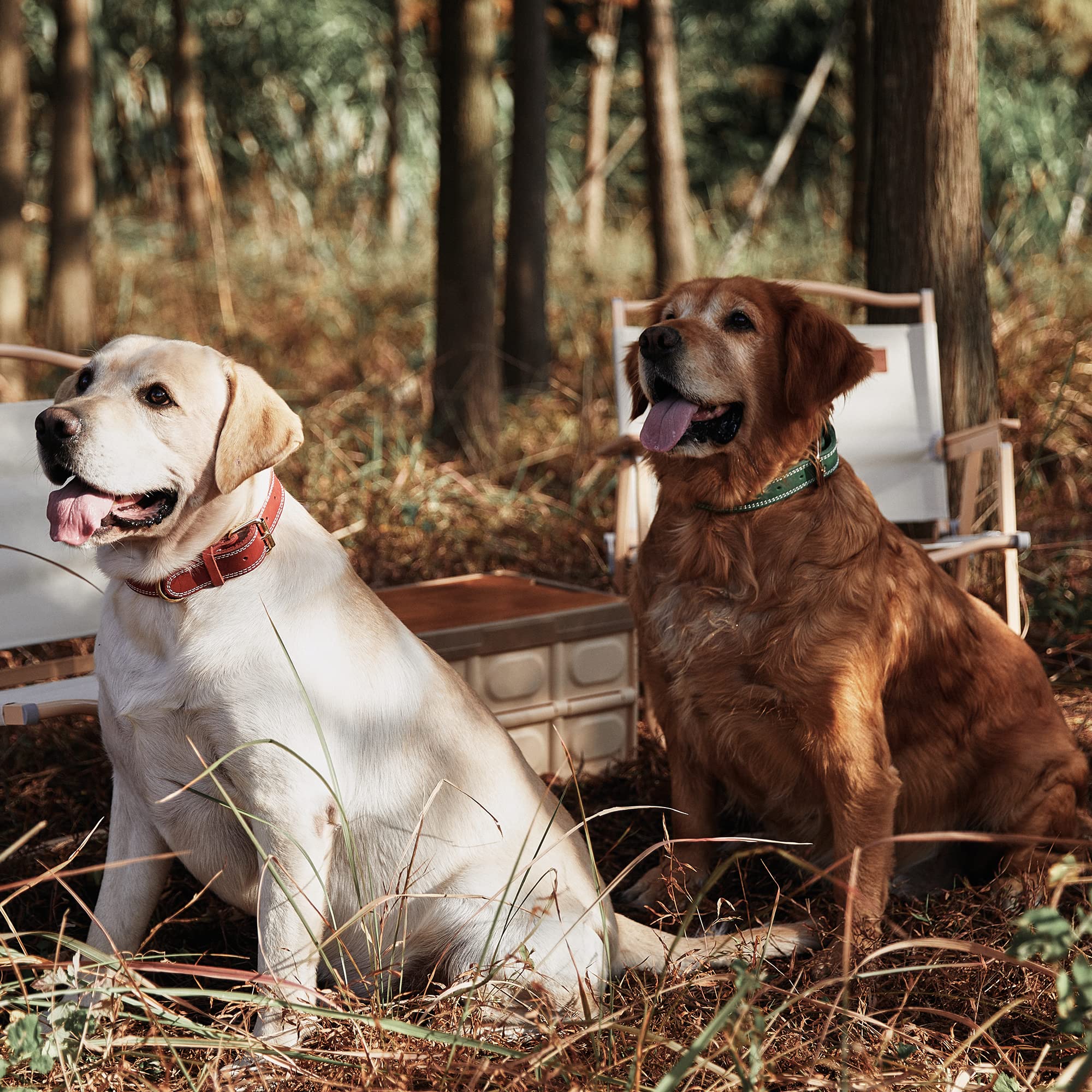 Daihaqiko Genuine Leather Dog Collar,Heavy Duty Dog Collar For Small,Medium,Large And Extra Large Dog (Xl: 1.4'' Wide For 18.6''