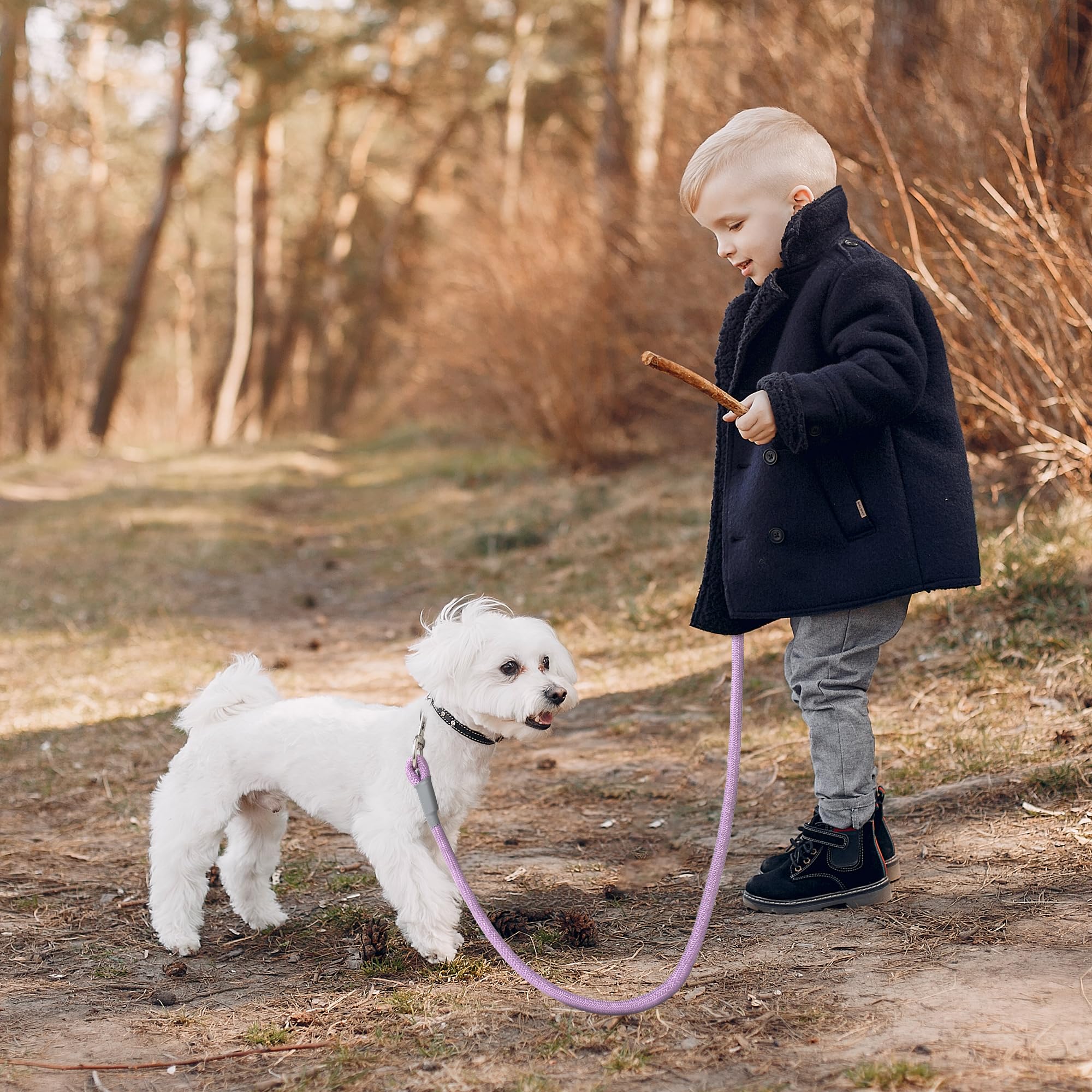 Mile High Life Dog Leash, With Comfortable Padded Handle, Purple Nylon Rope Leash With Steel Tips, Heavy Duty 4 Feet Pet Leashes