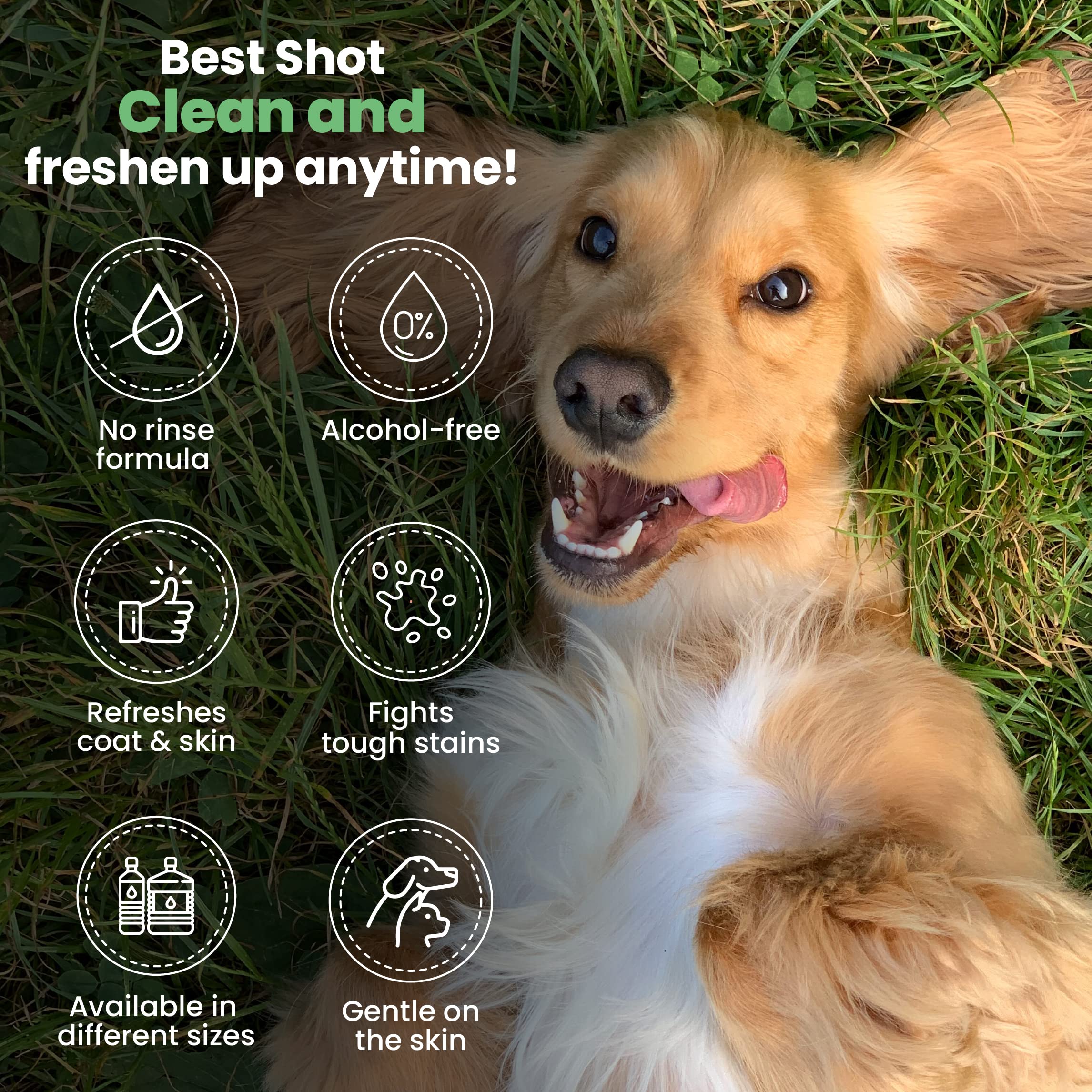 Best Shot One Shot Dry Clean Spray, Alcohol-Free Formula, Waterless Shampoo Spray For Pets, Safe For Dogs, Cats, And Horses, 16 Oz.
