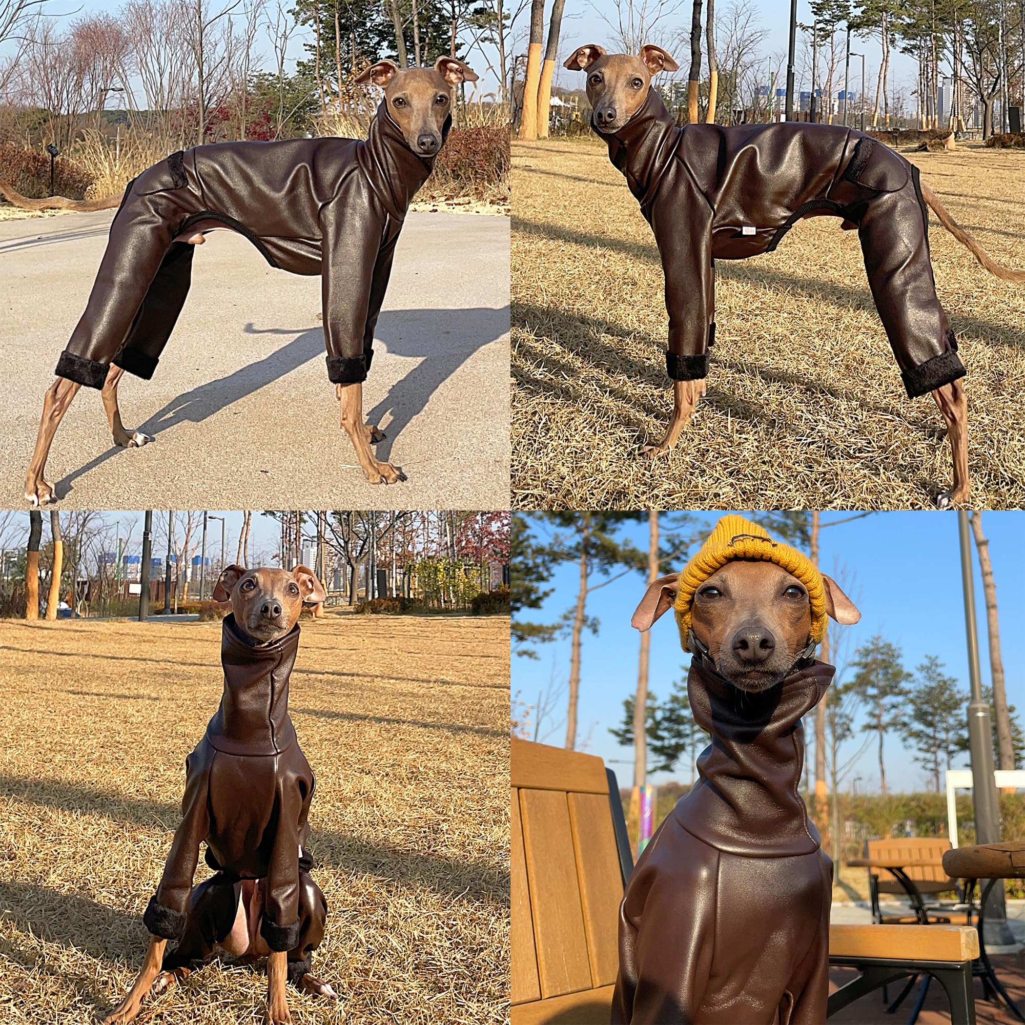 D Doggy Star Italian Greyhound Coat Stretchable Aartificial Leather Fleece Lining Clothes Whippet For Dog (3Xl,Leather Brown)