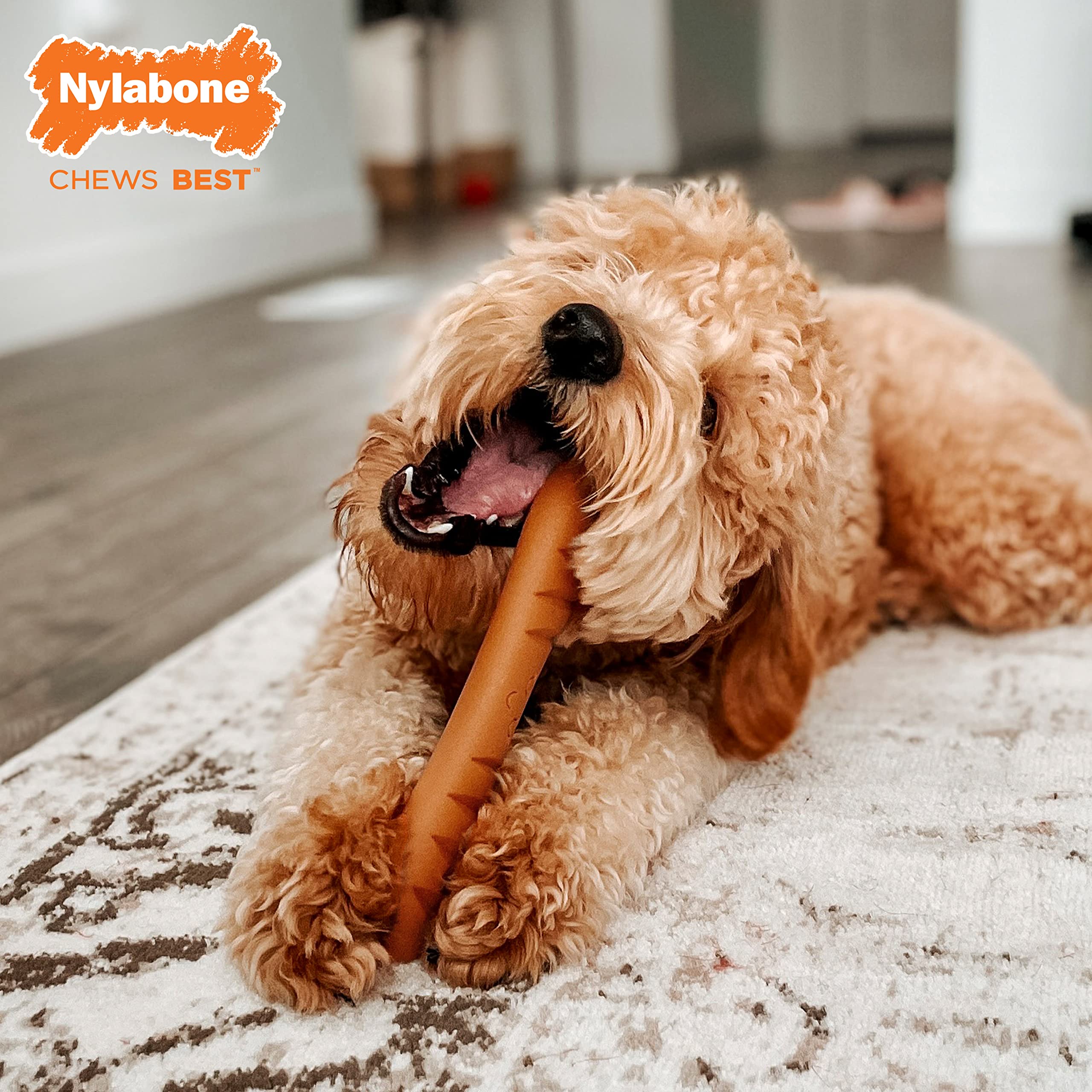 Nylabone Baguette Power Chew Toy for Dogs, Dog Toys for Aggressive Chewers, Roast Chicken Flavor, Large Dogs - Up to 50 lbs, 1 C