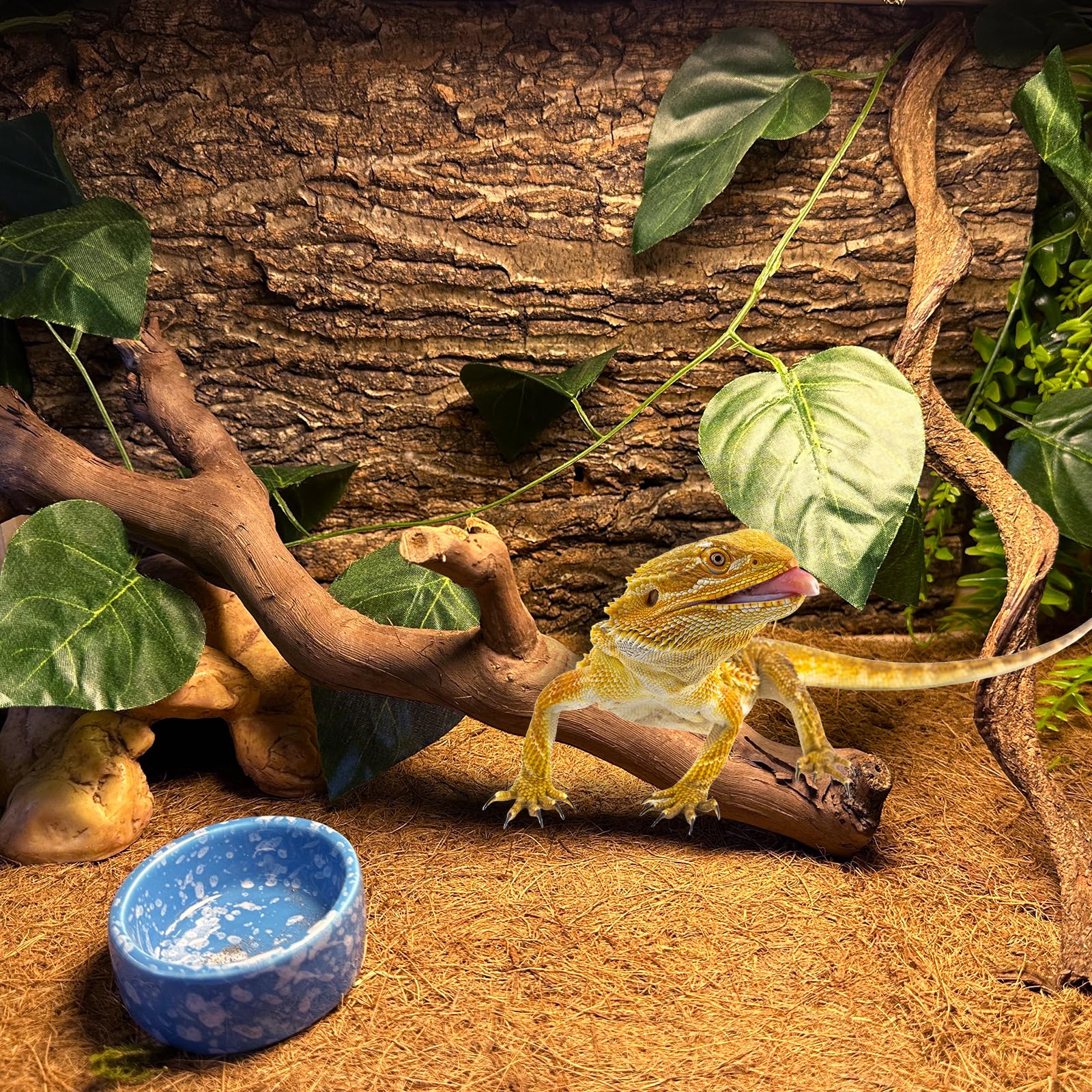 BNOSDM 2PCS Reptile Wood Branches, Snake Climbing Branch, Bearded Dragon Climbing Accessories, Lizard Habitat Decor, Terrarium T