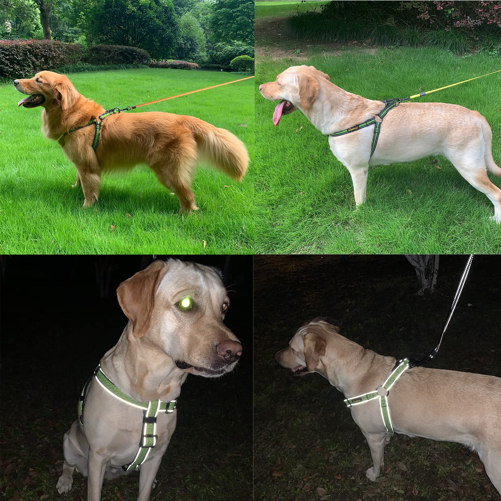 Xipebros Dog Harness,No Pull Dog Harness With Reflective Adjustable,Stops Pets From Pulling And Choking On Walks,Dog Harness For Large Dogs (Blue, Xxl)