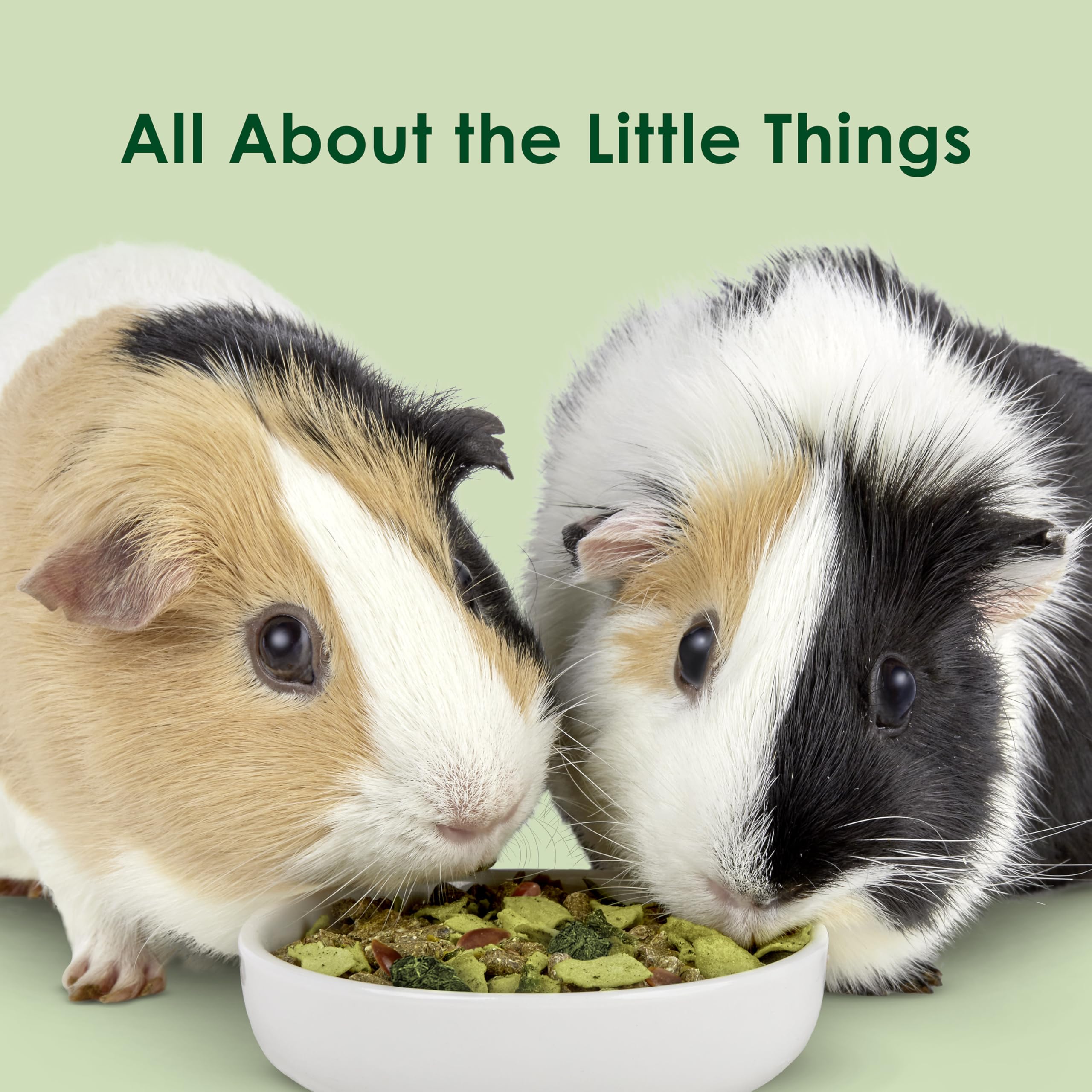 Kaytee Super C Greens, Daily Food Topper with Superfoods for Small Animal Pets, Contains Long-Lasting Vitamin C for Immune Suppo