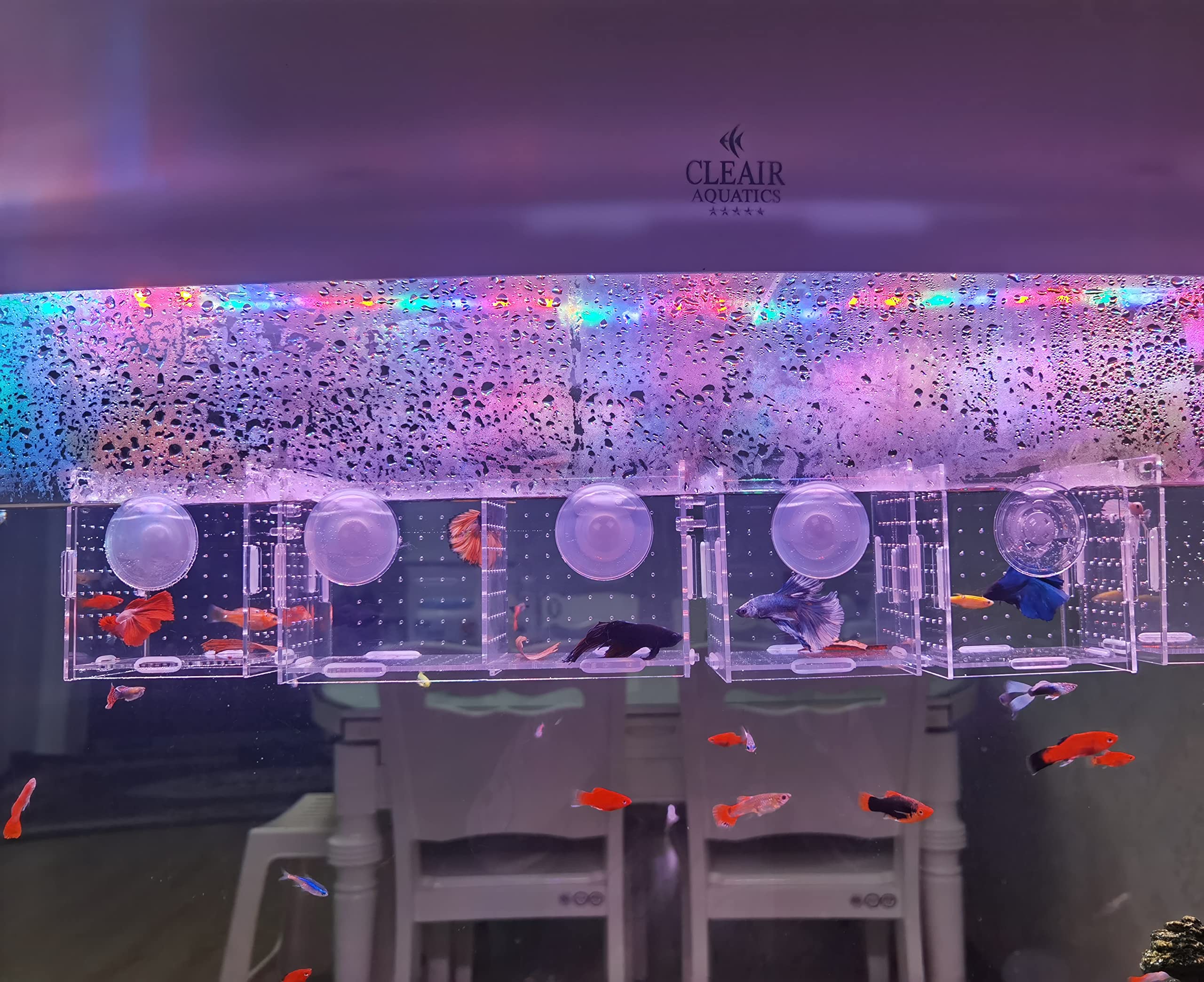 Awxzom Acrylic Fish Breeding Box, Acrylic Fish Isolation Box, Fish Separator For Aquarium, Hatchery Incubator With Suction Cups