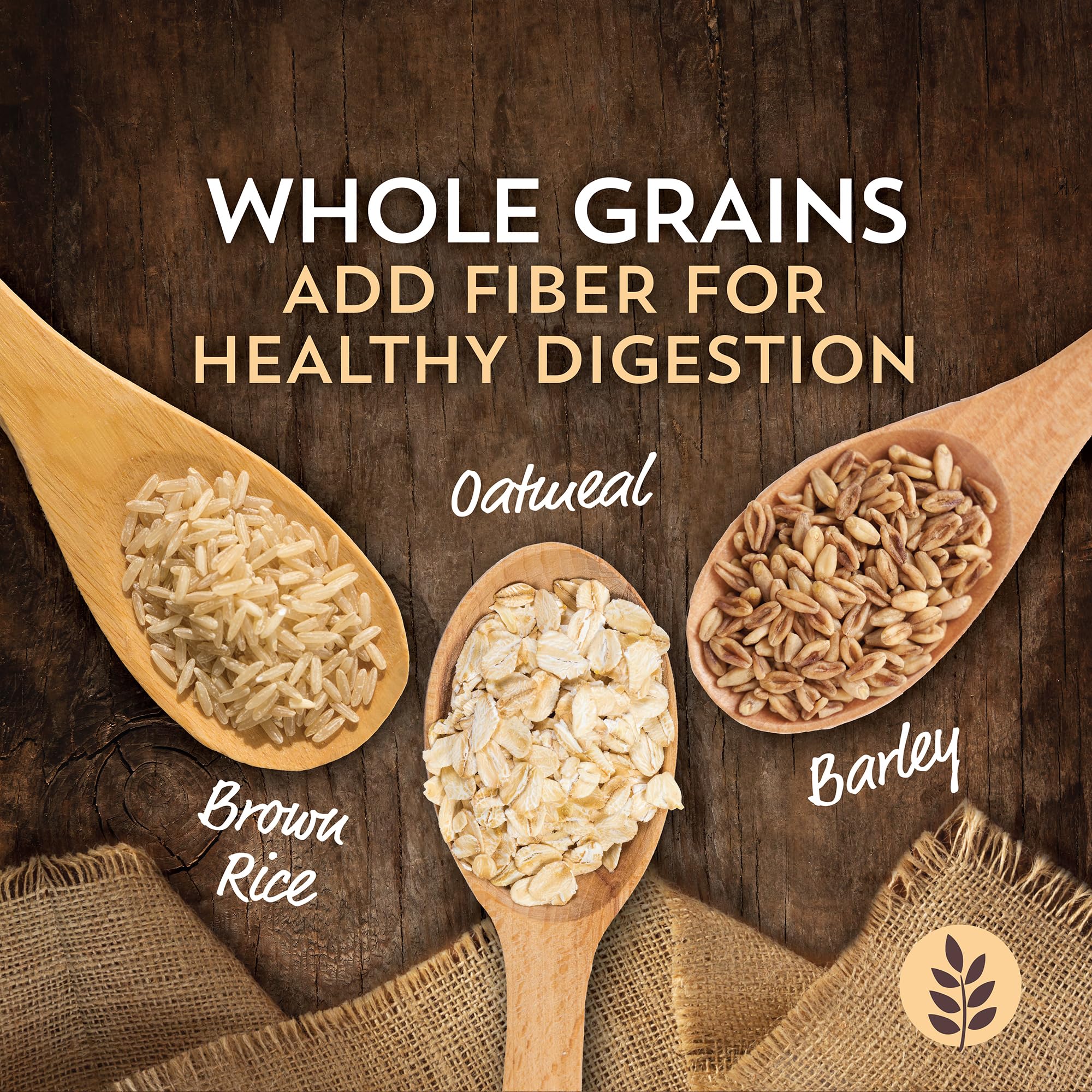 Wholesomes Sensitive Skin & Stomach with Salmon Protein & Ancient Grains Dry Food for Cats & Kittens (10 lb. Bag)