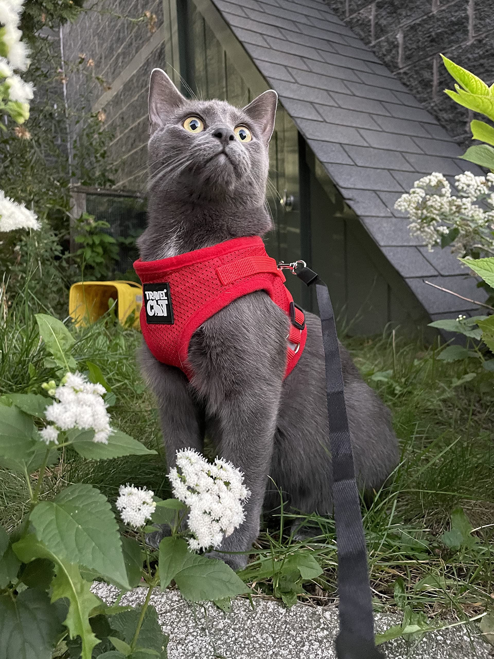 Travel Cat Harness And Leash Set - Adjustable Comfort Fit Mesh Vest Harnesses With Reflective Strap - Snug Fit Harness For Cats, Kitten For Outdoor Walking, Red, Medium (Chest 15-17.3 Inch)