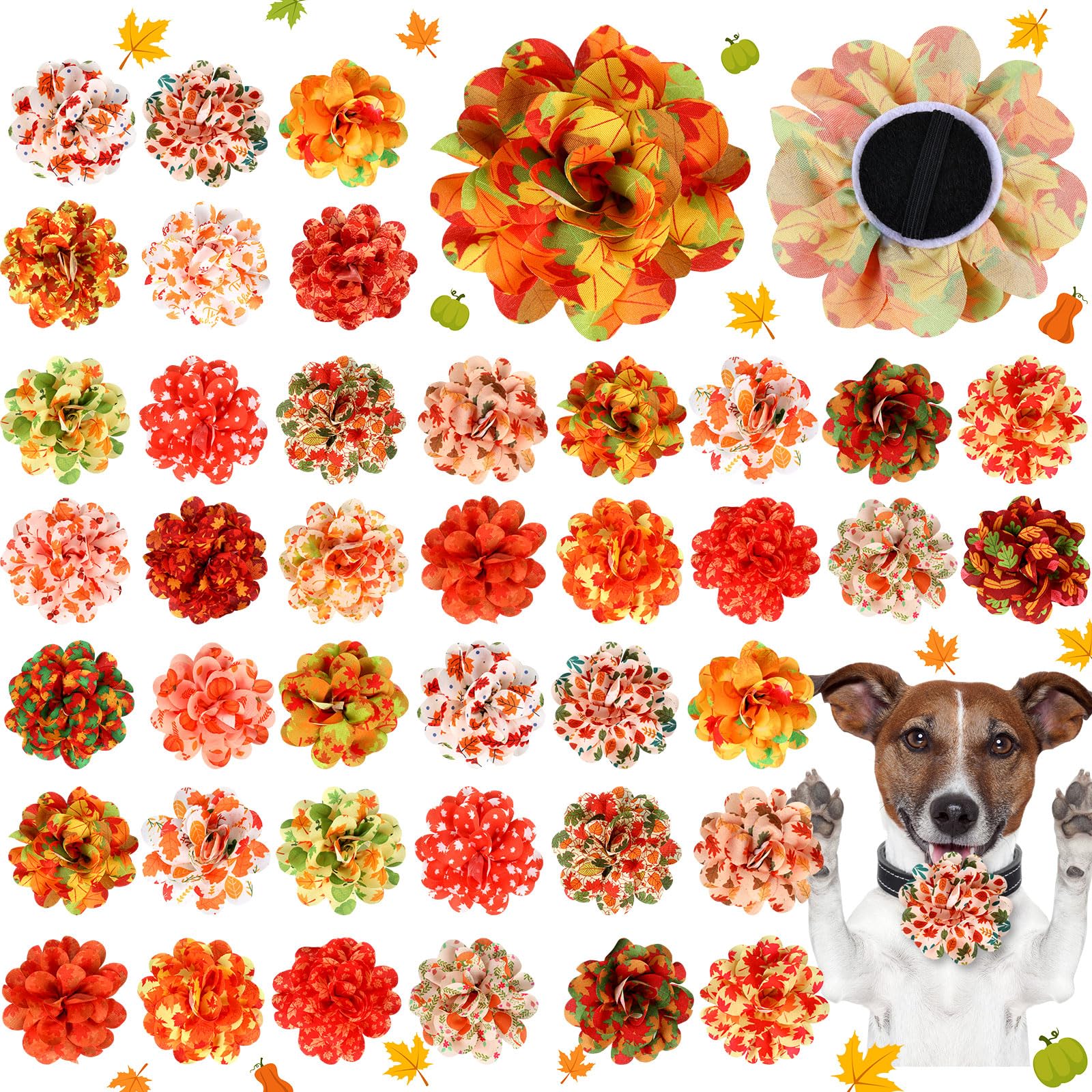 Huhumy 50 Pieces Fall Thanksgiving Dog Collar Flowers Bulk Maple Leaves Dog Charms Grooming Accessories Bow Tie Flower for Pets 