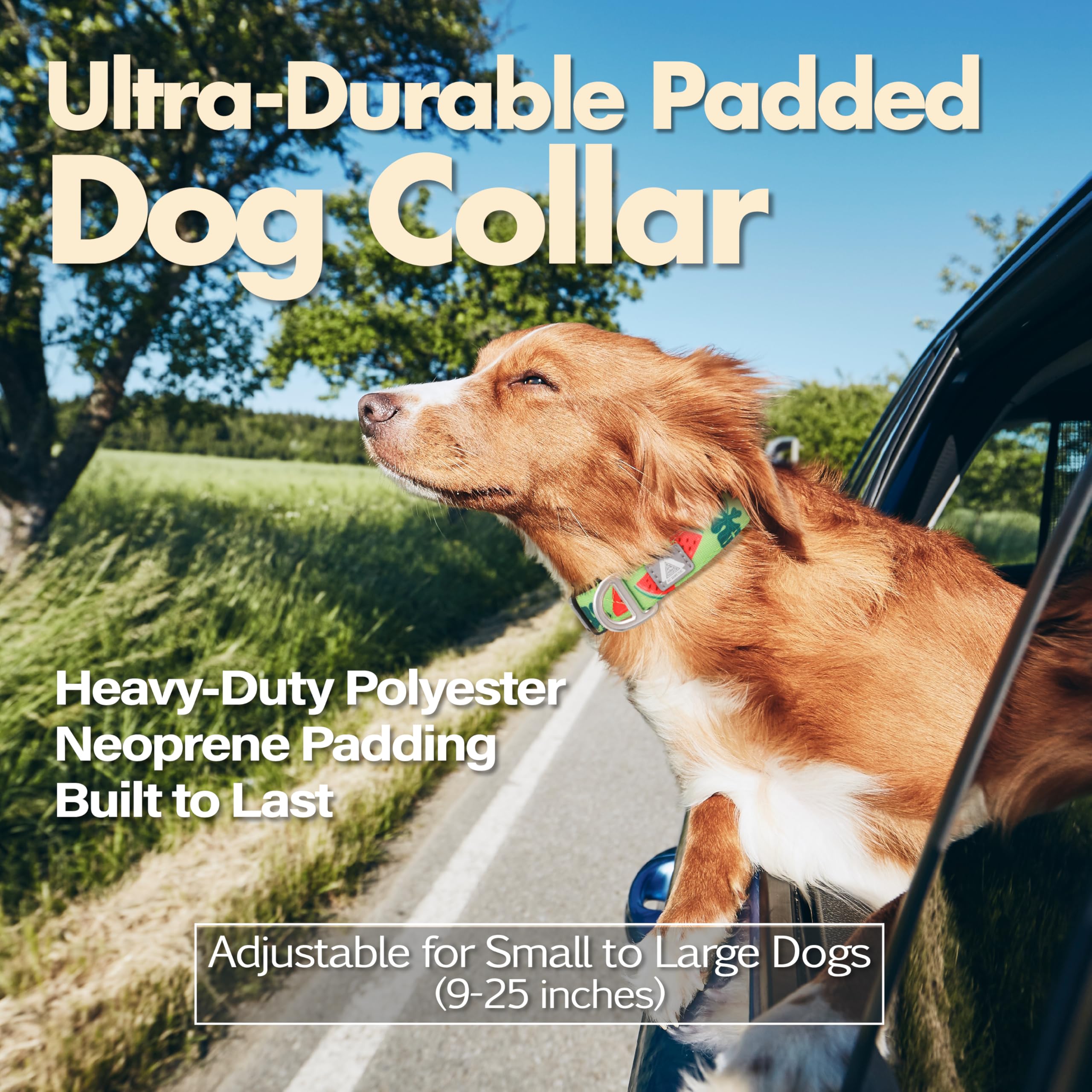 Jc House Small Dog Collar With Reflective Logo And Soft Padded Neoprene,Summer Watermelon Design, Adjustable,Lightweight & Durab