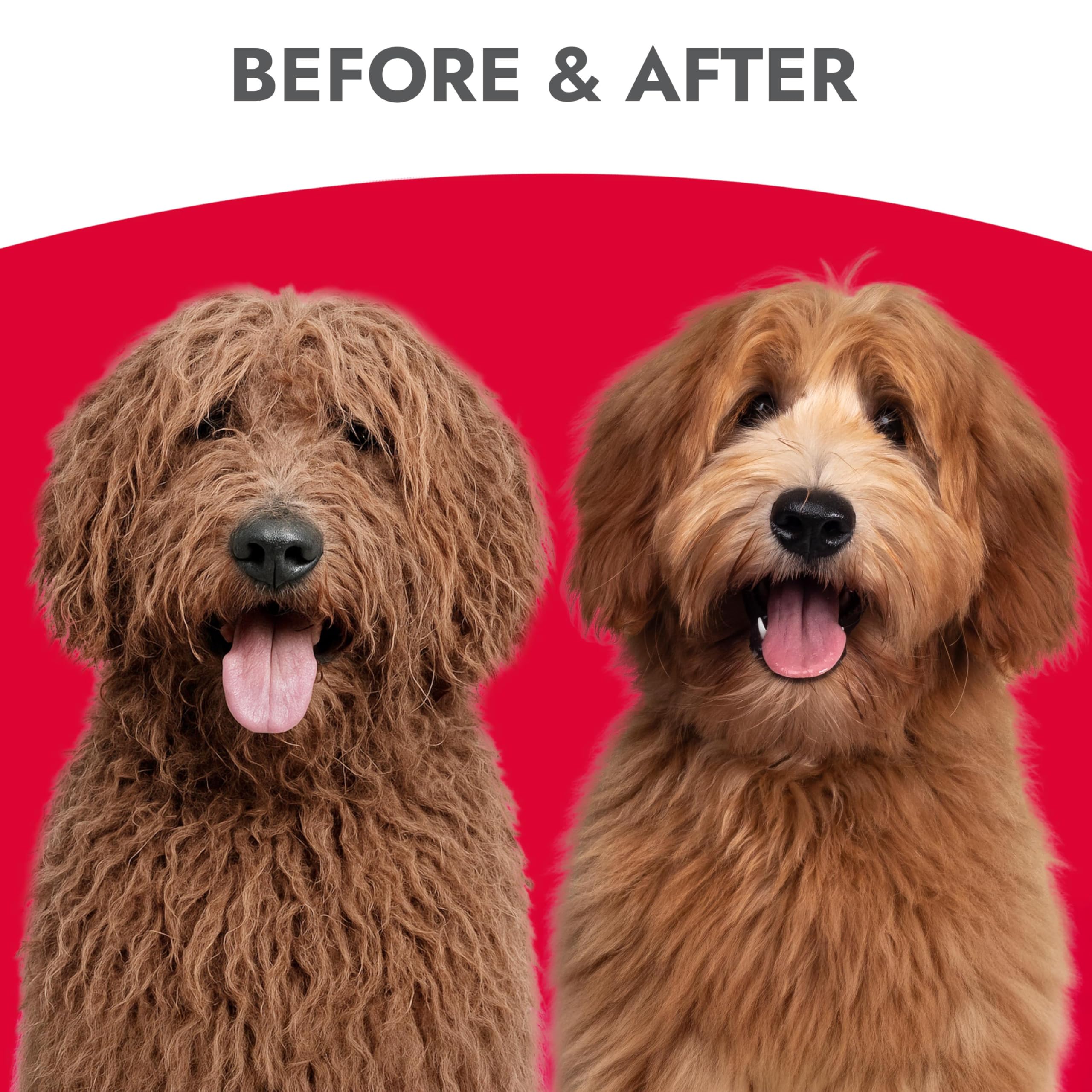 Kong Detangler Spray for Dogs - Cucumber Melon Scent, 16 fl oz - Loosens Knots, Softens & Smooths Coats, Biodegradable, Alcohol-