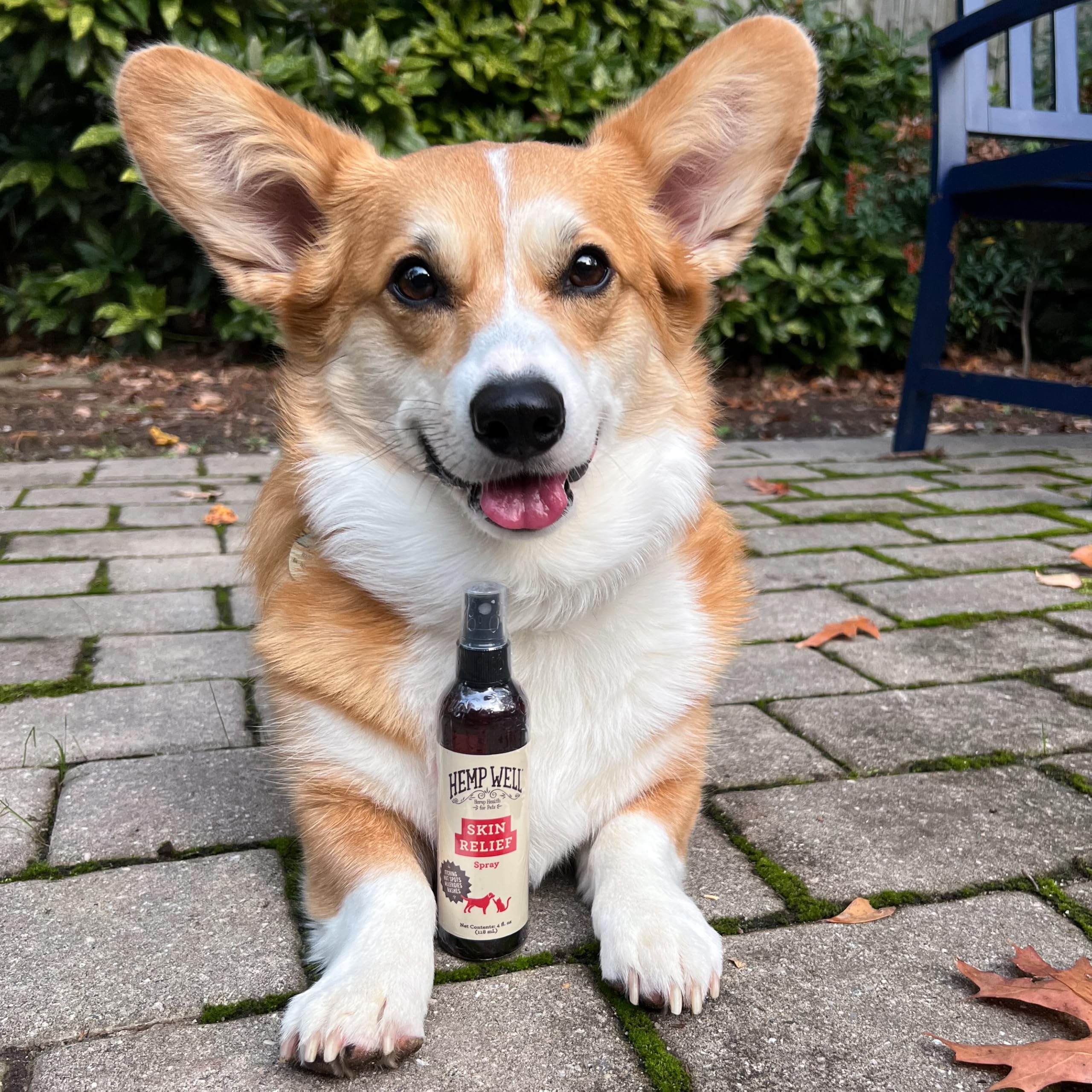 Hemp Well Skin Itch Relief Spray for Dogs and Cats - Hemp Seed Oil, Witch Hazel, Rosemary Oil