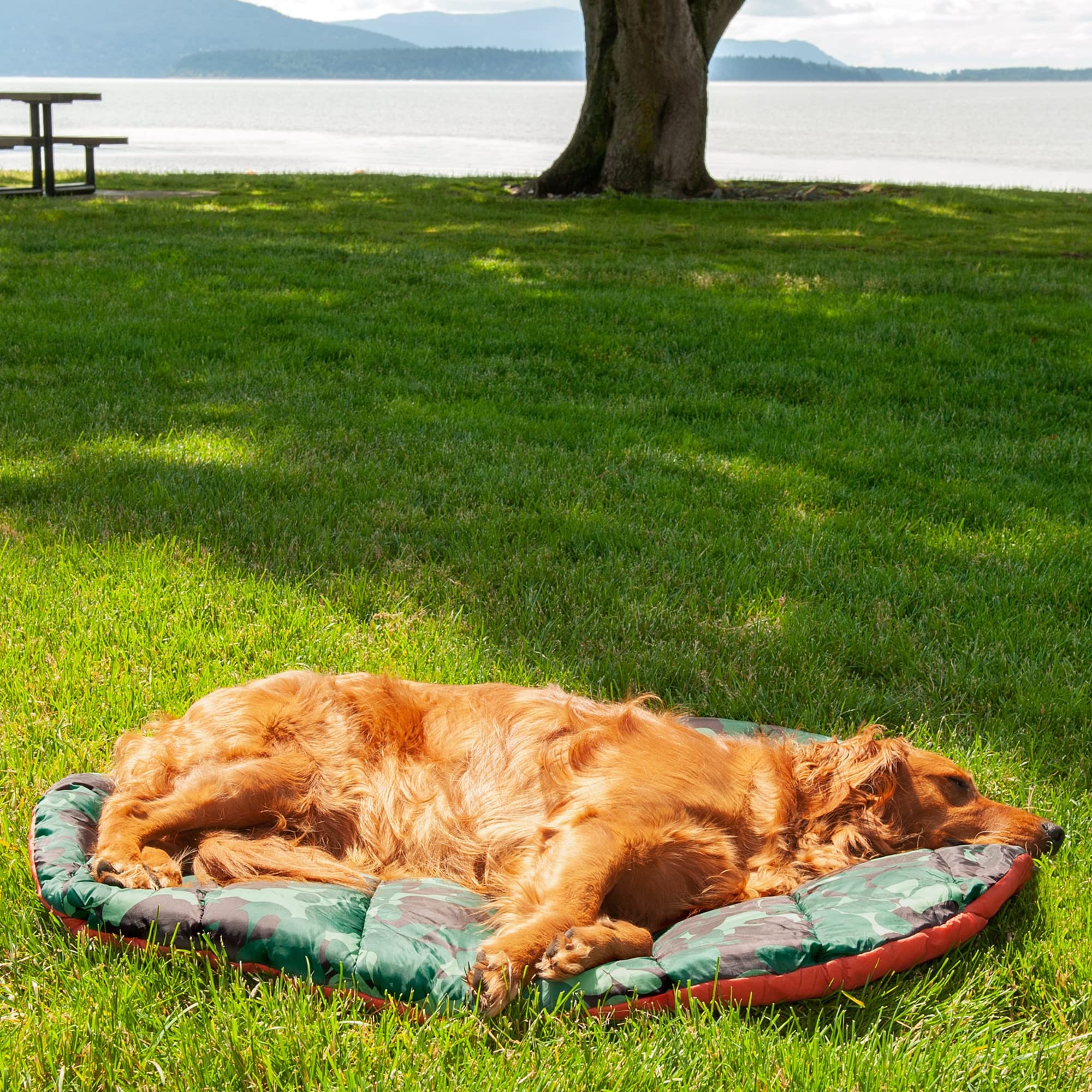 Furhaven Outdoor Travel Dog Bed For Large/Medium Dogs W/ Carry Bag, Washable & Foldable, Great For Crates & Kennels - Trail Pup