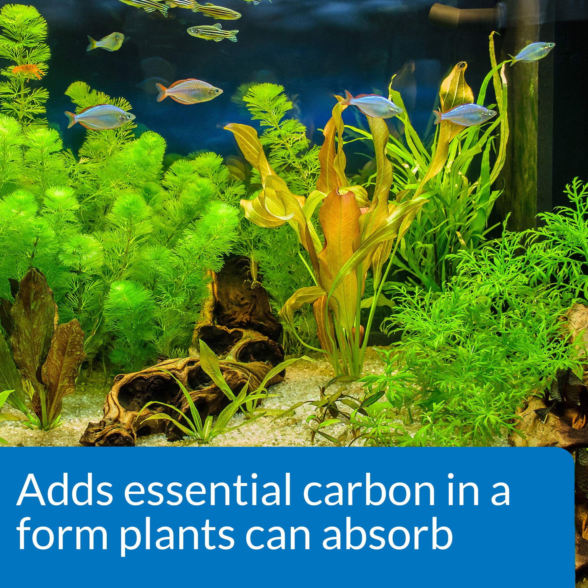 Api Co2 Booster Freshwater Aquarium Plant Treatment 16 Oz Bottle, Brown